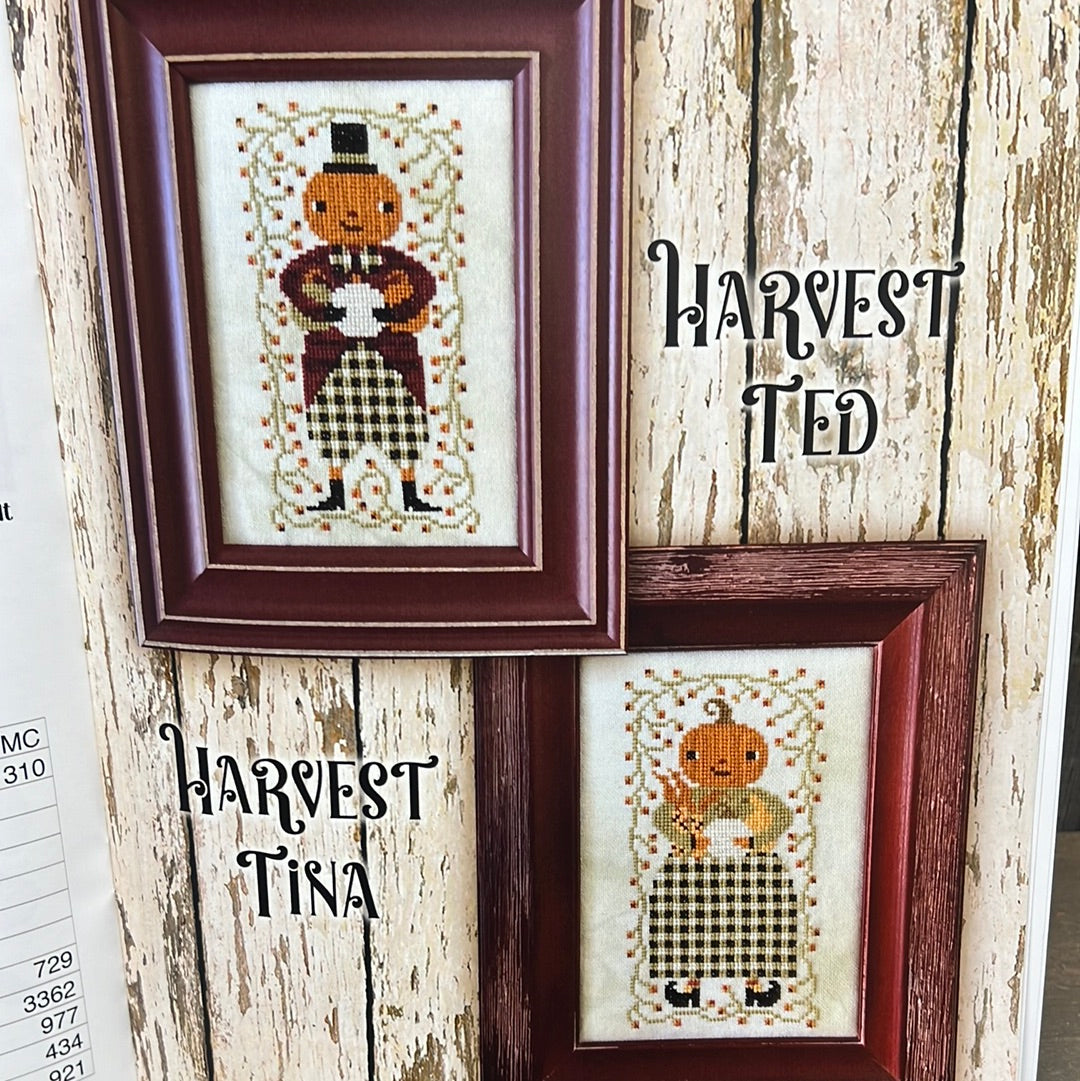 Pattern, CS, HELLO AUTUMN