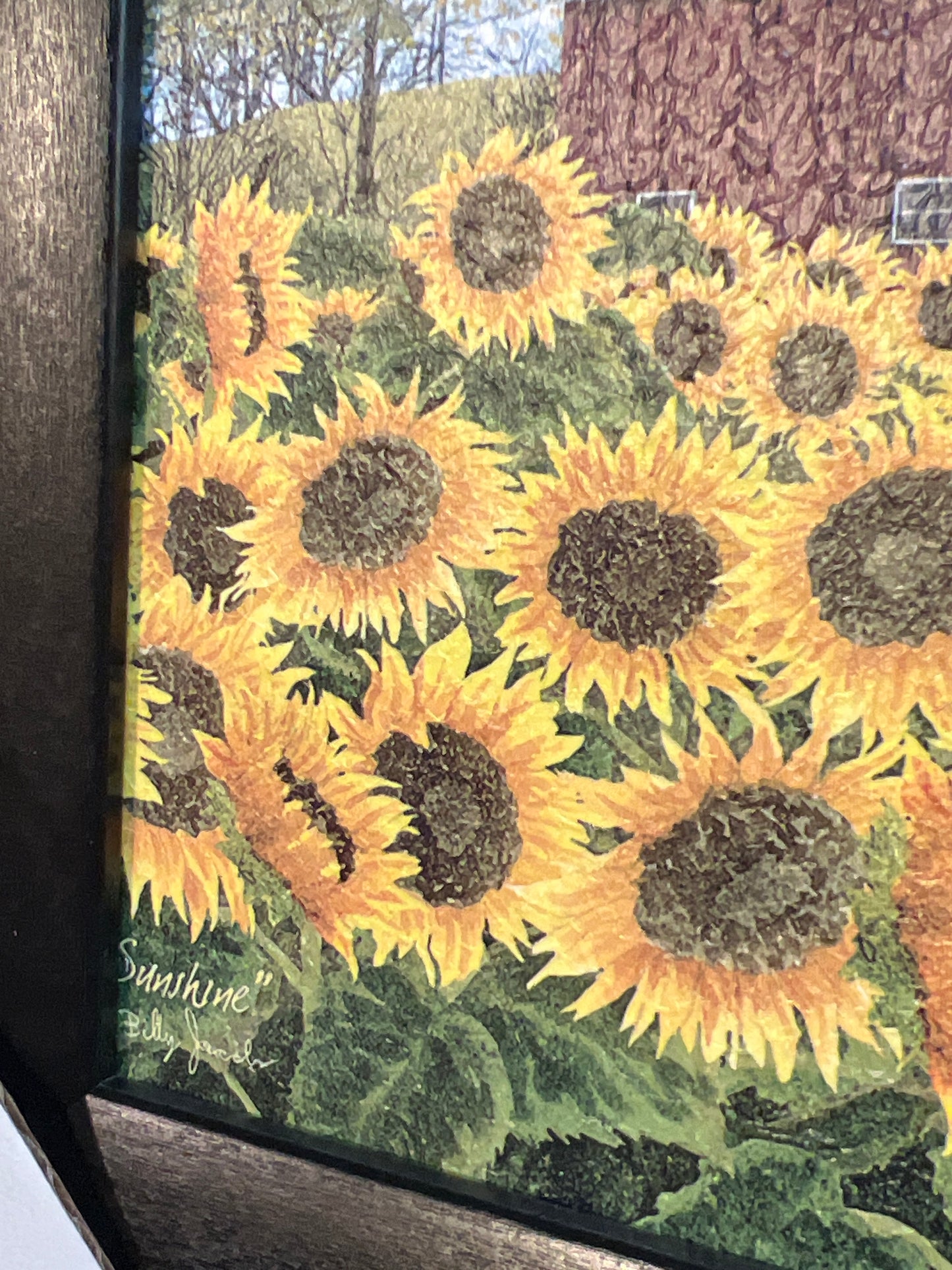 Framed Art, SUNSHINE