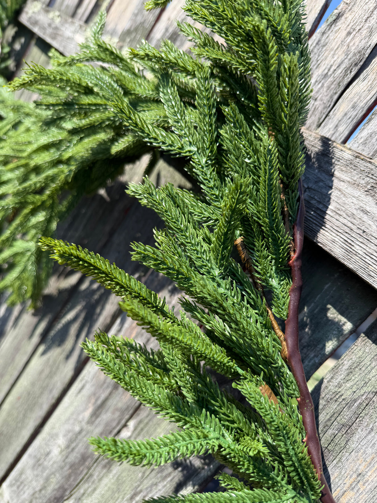 Draping Garland, 6', NORFOLK ISLAND PINE