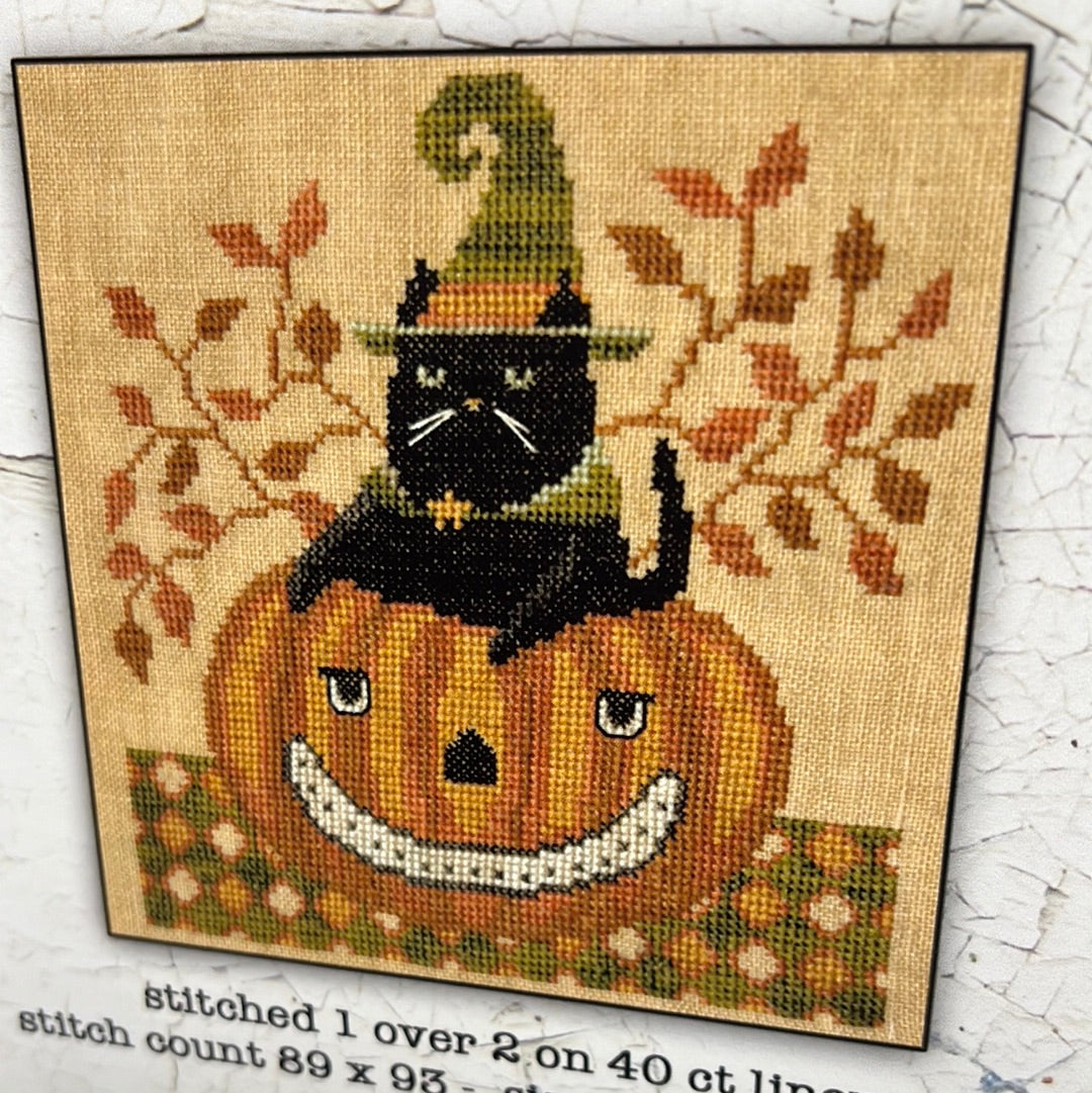 Pattern, CS, SNARKY CAT