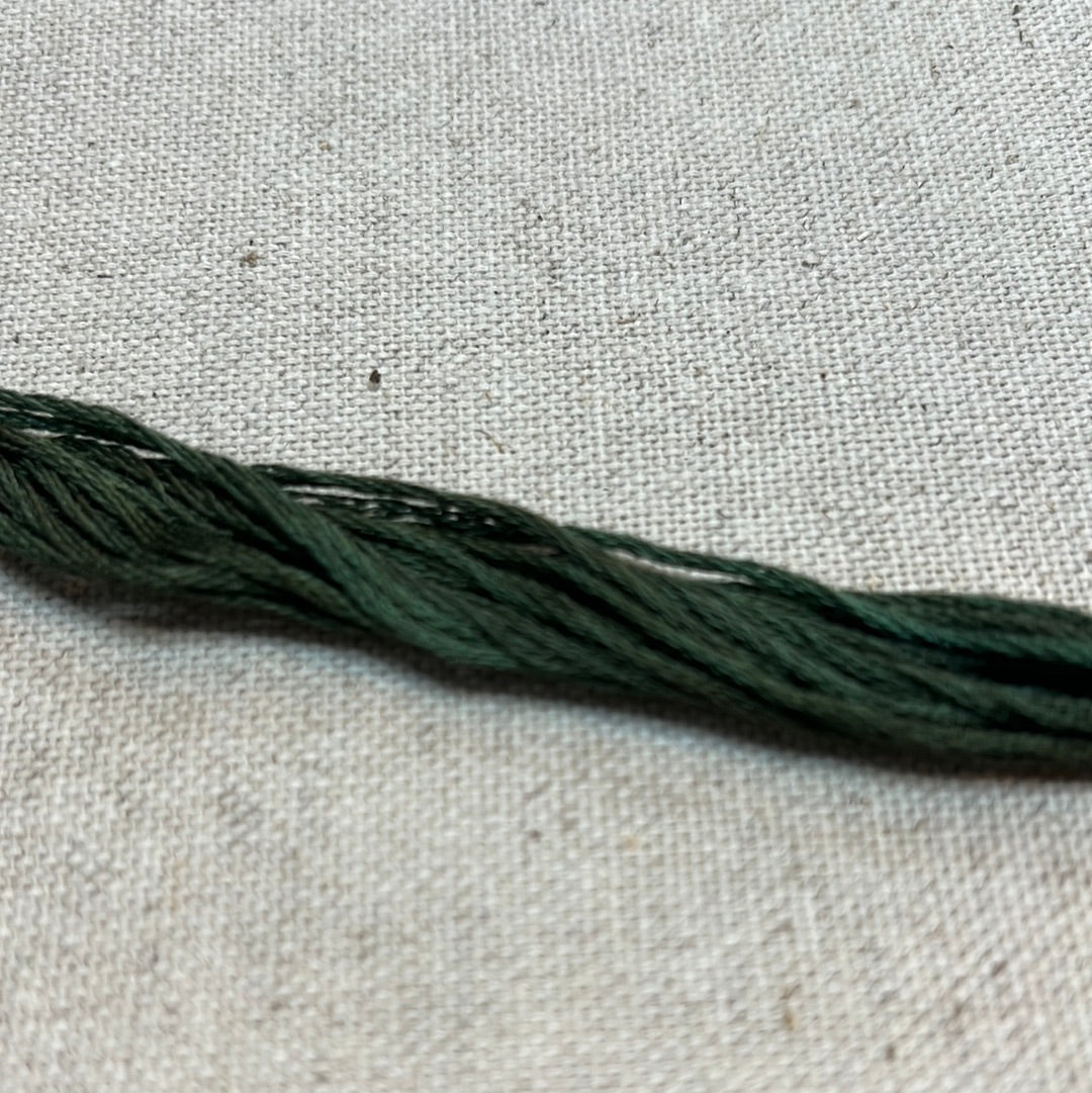 CUCUMBER, 7077, Simply Shaker