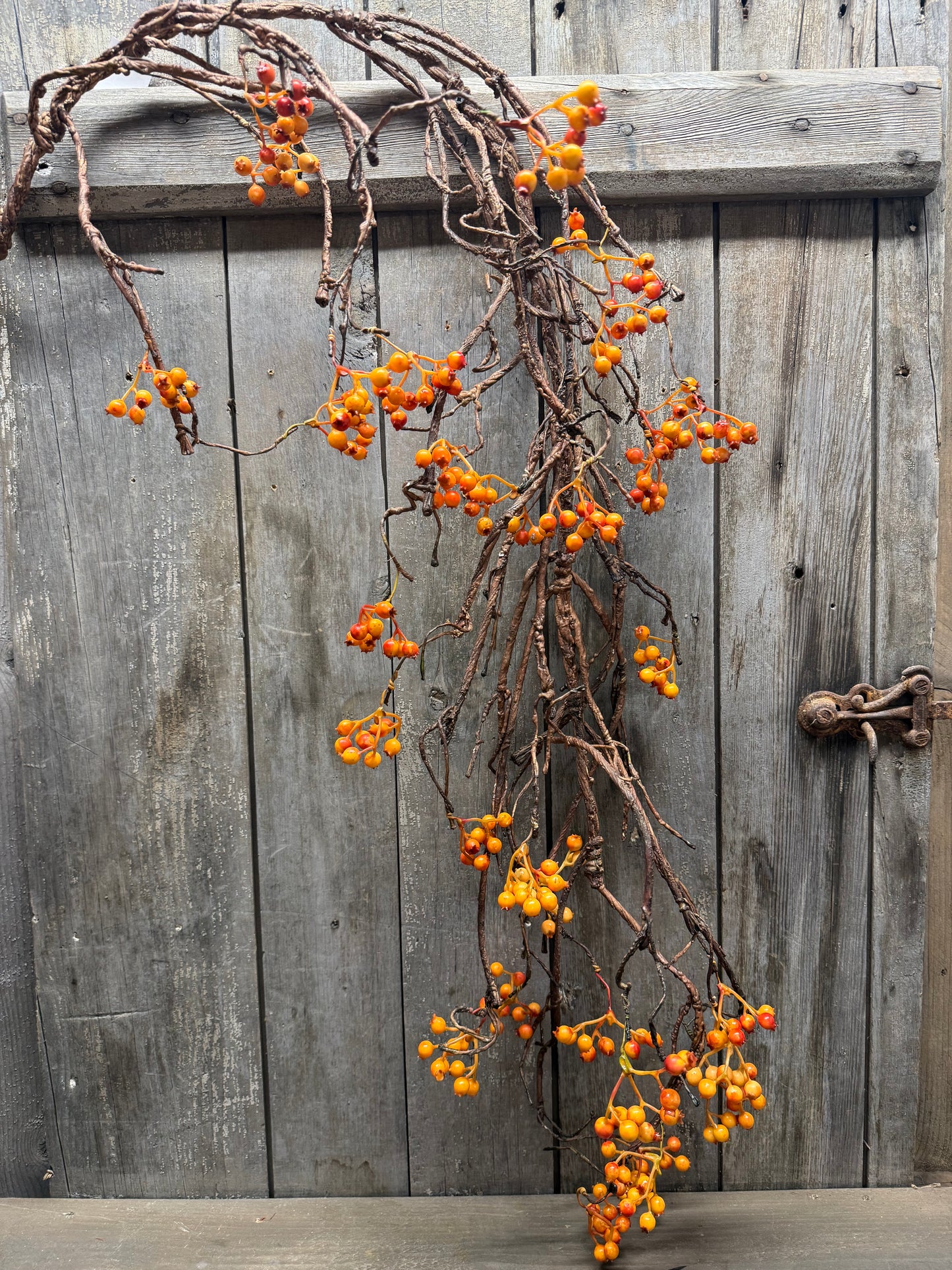 Vine, 54", BITTERSWEET