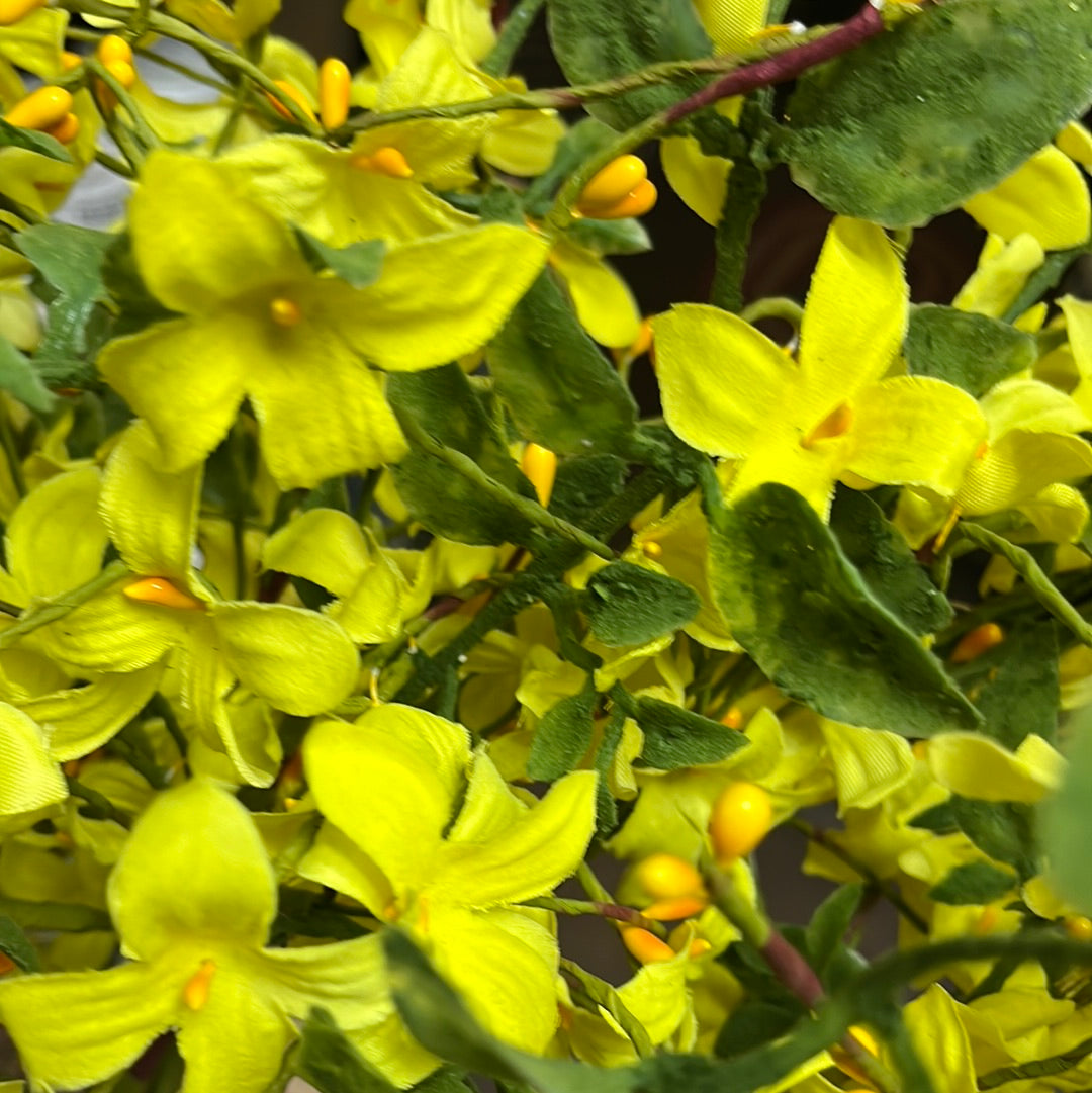 Pick, 18", FORSYTHIA W/ BERRIES
