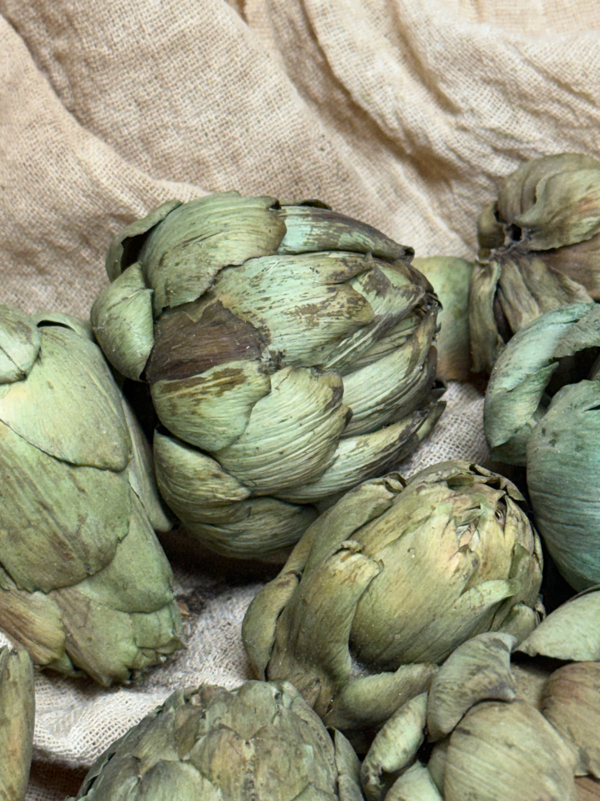 ARTICHOKE, 2 OUNCE