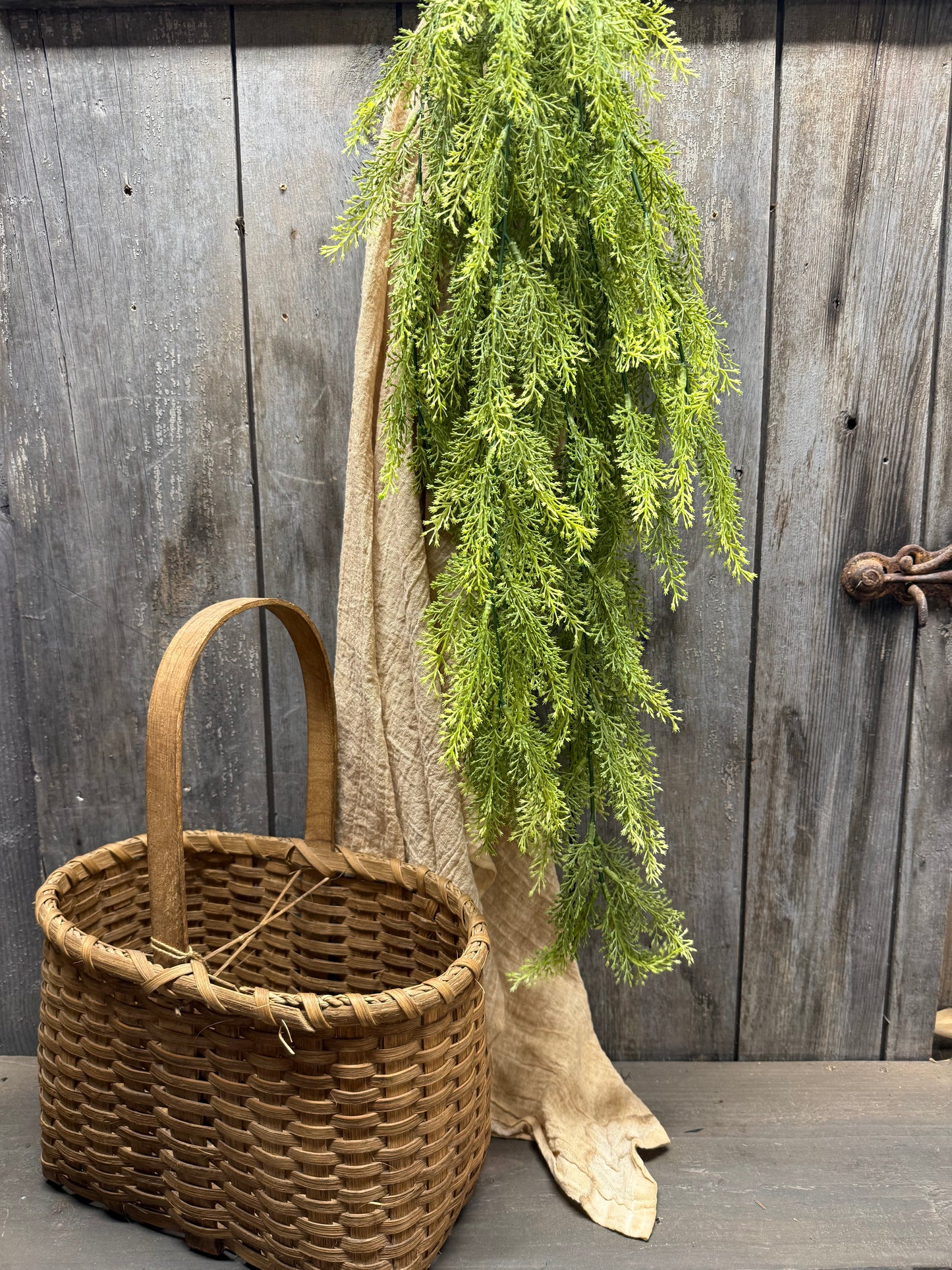 Hanging Bush, 36", SORGHUM