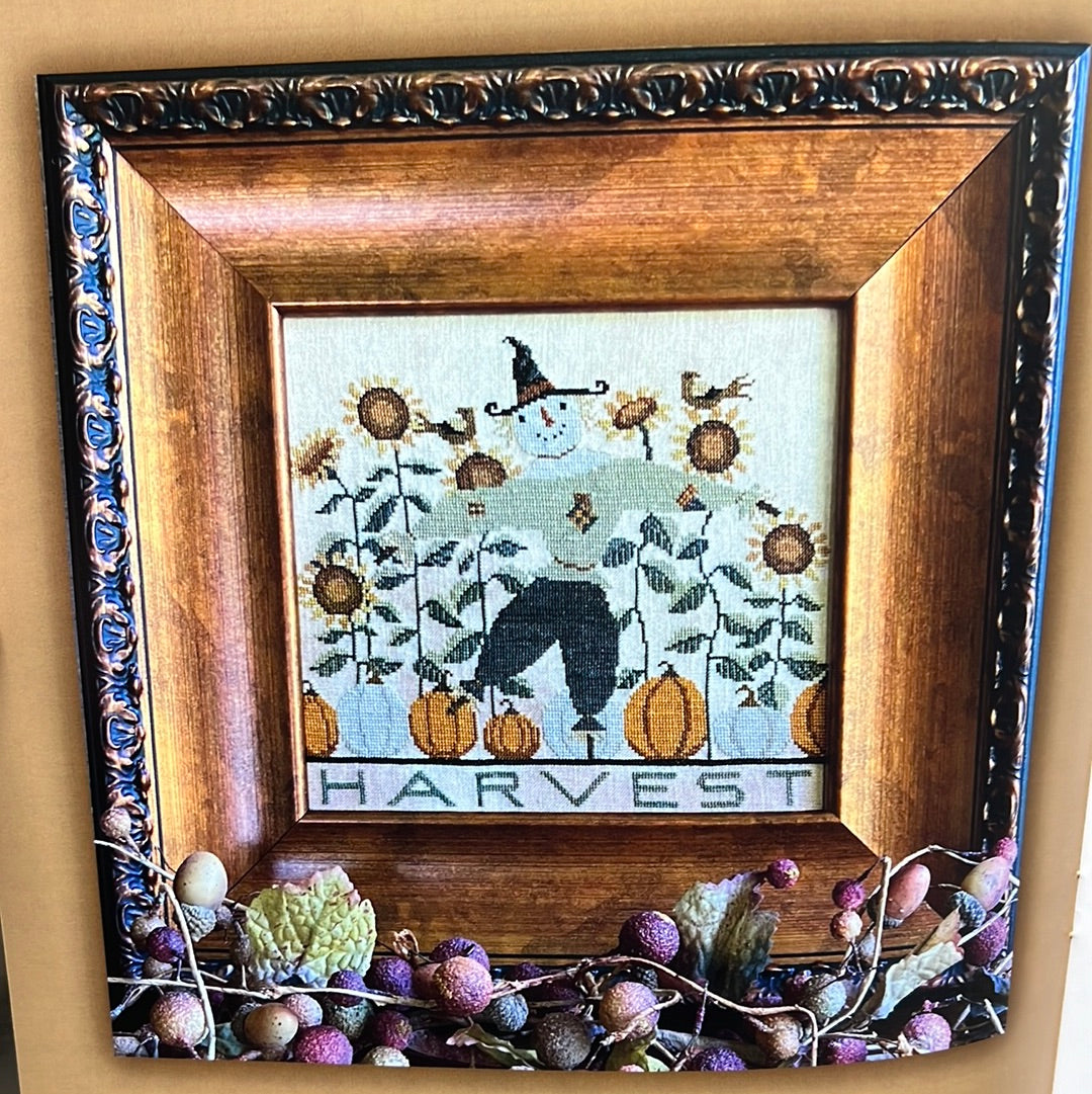 Pattern, CS, HELLO AUTUMN