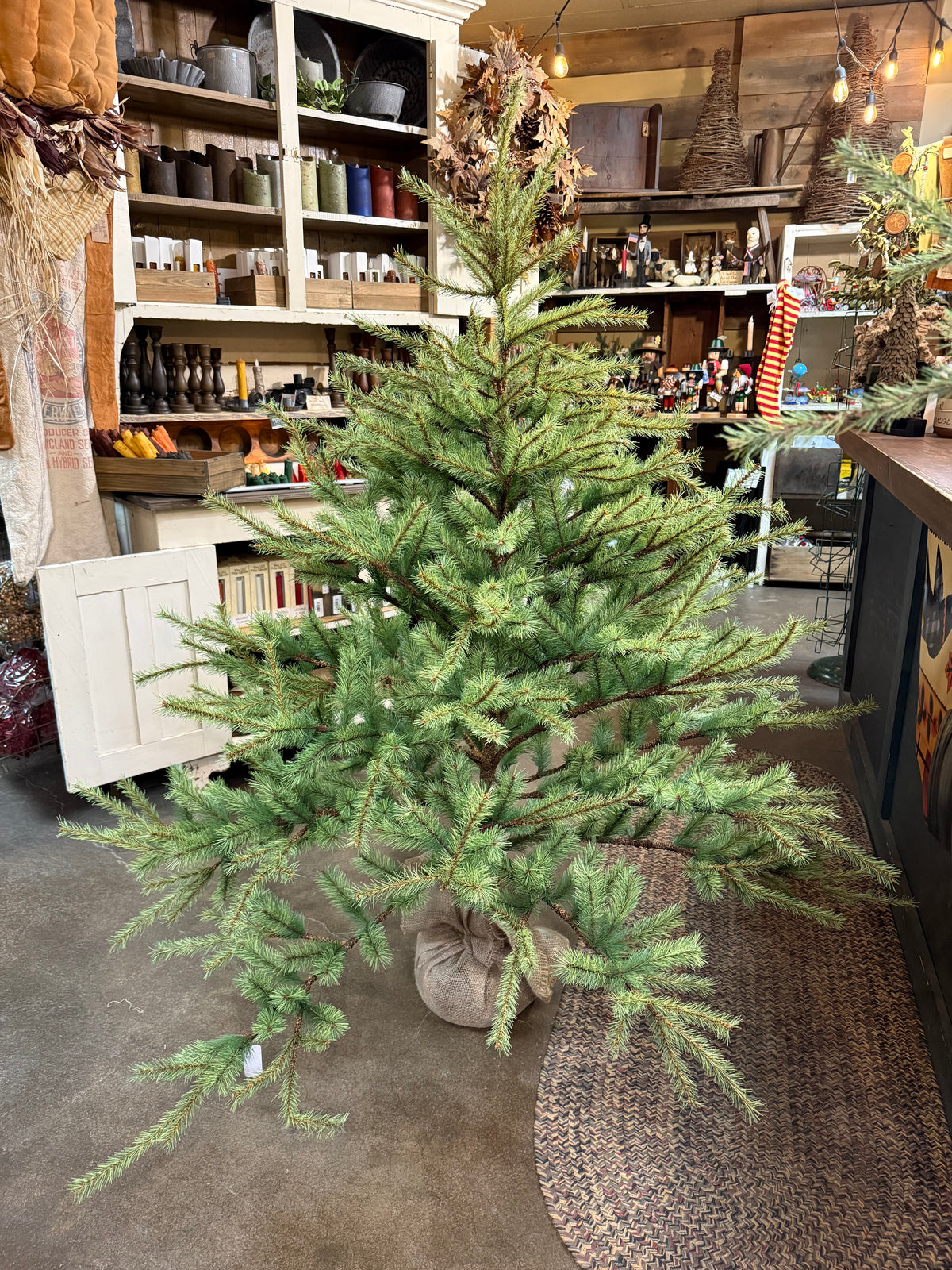 Tree, NORTH STAR FAT FIR