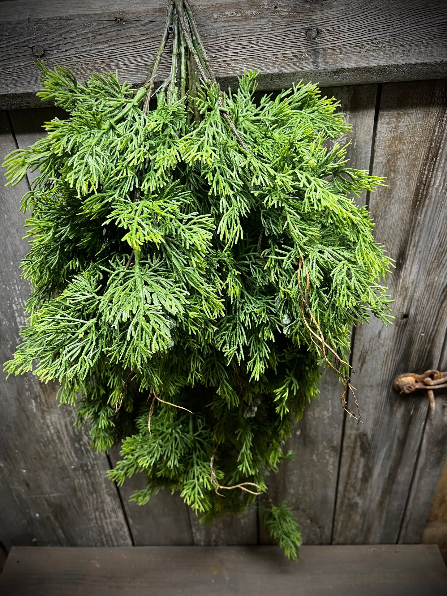 Hanging Bush, 34", DRIPPING CEDAR