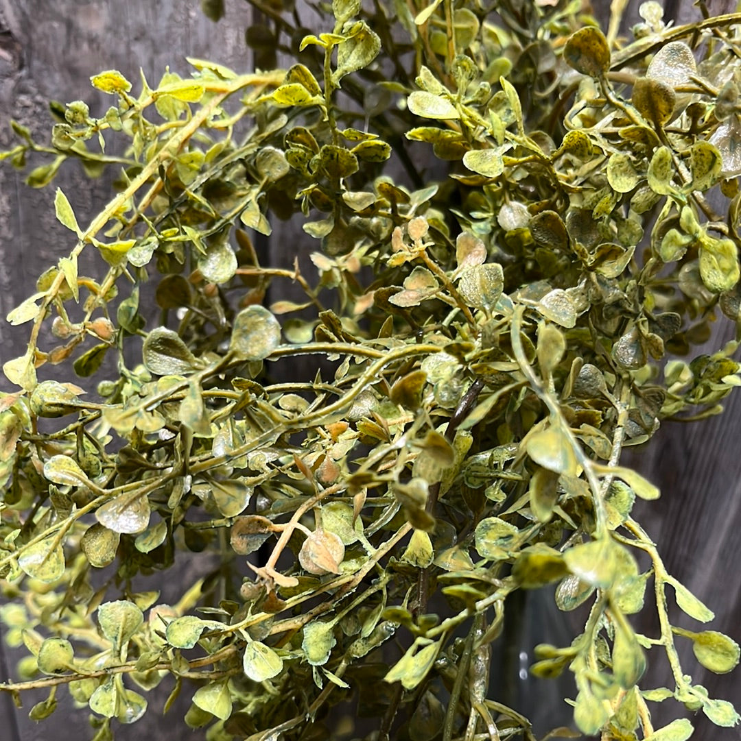Hanging Bush, 33”, Baby's Grass, NEW GREEN