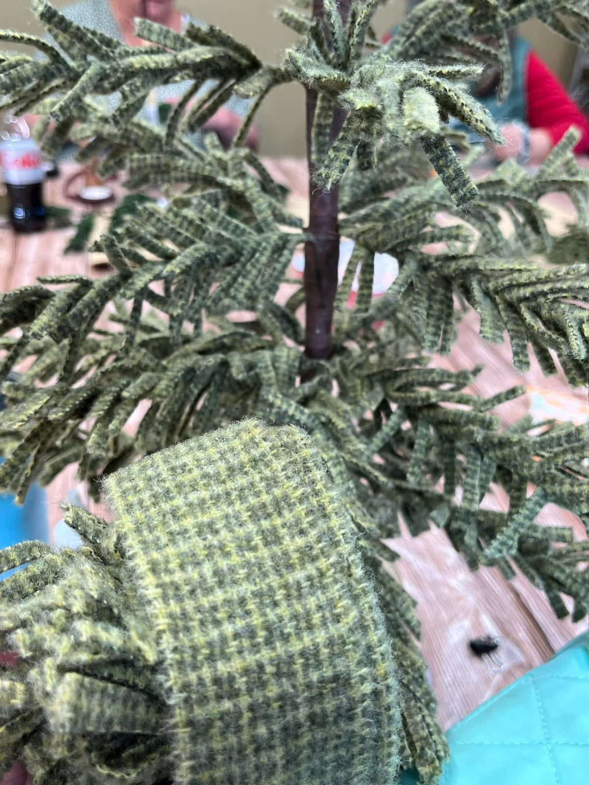 Class, WEDNESDAY 12/02, 10am start, WOOL TREE