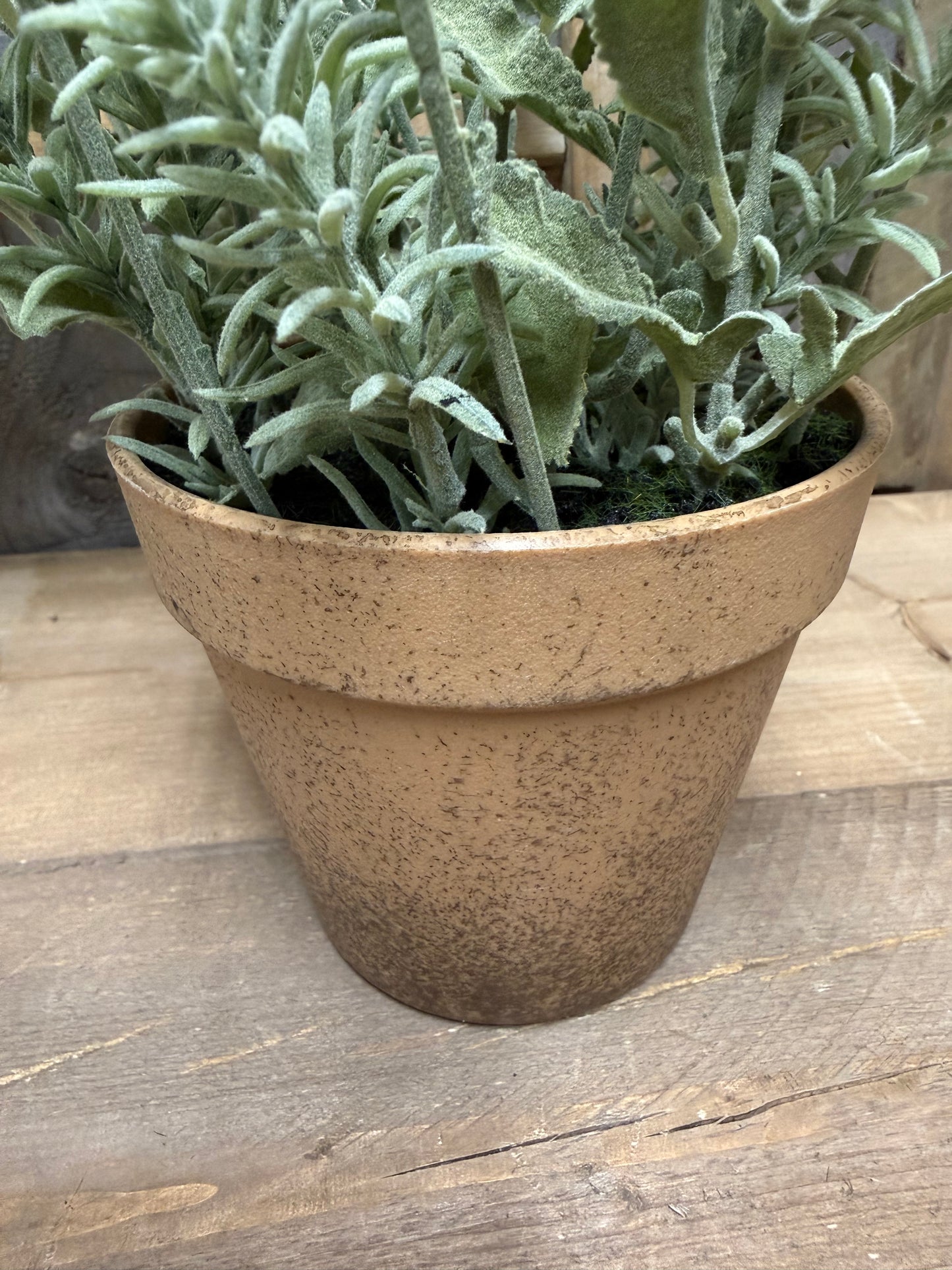 Potted Plant, 15.5", LAVENDER
