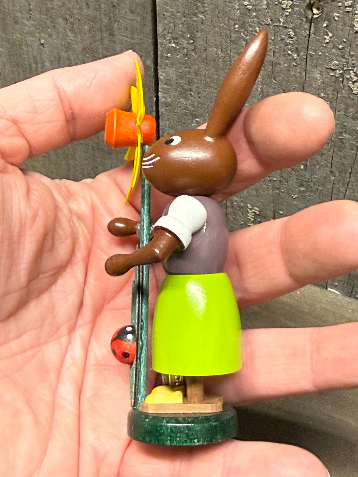 RABBIT W/NARCISSUS