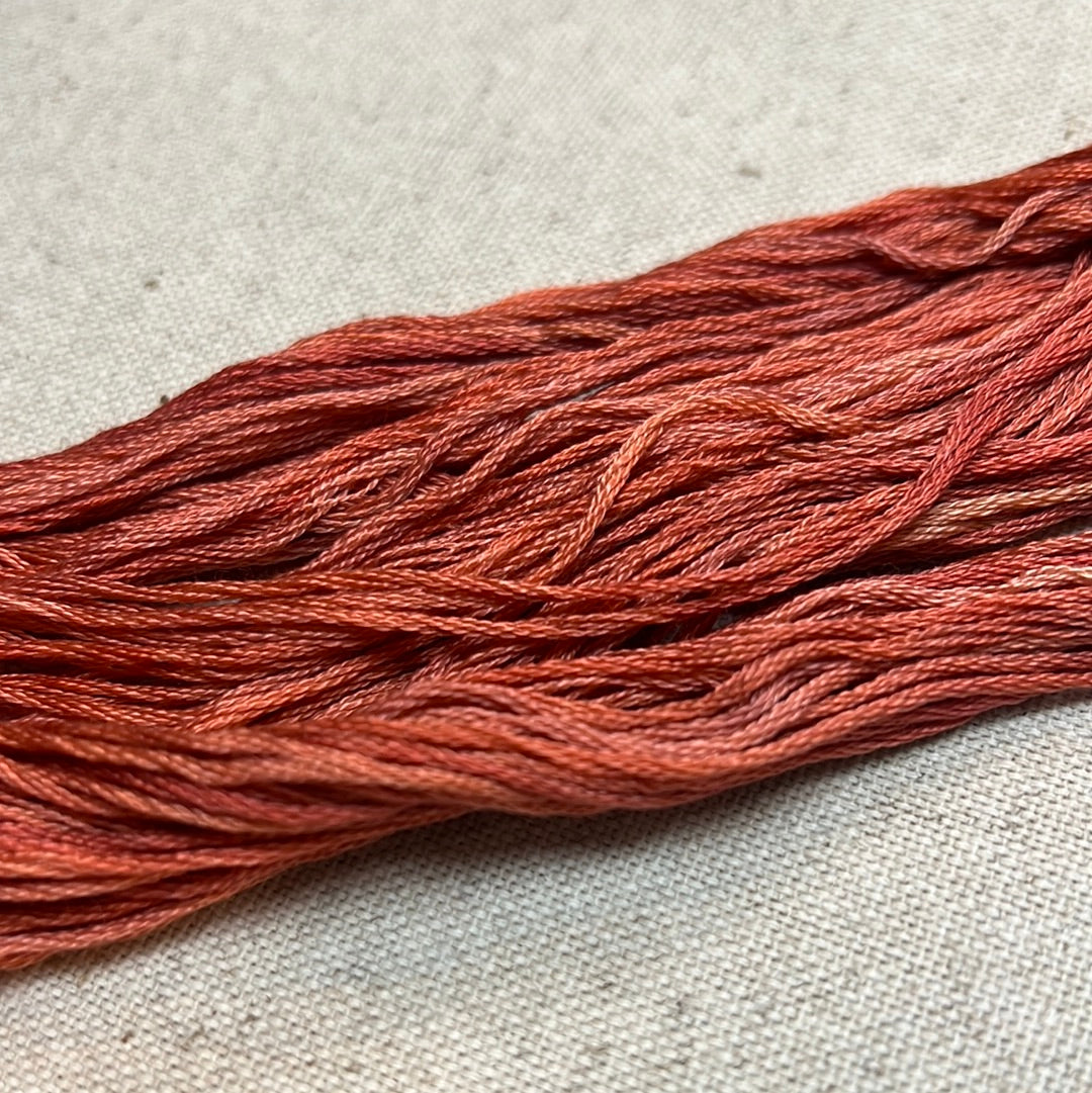 CORAL REEF, 0591, Sampler Threads