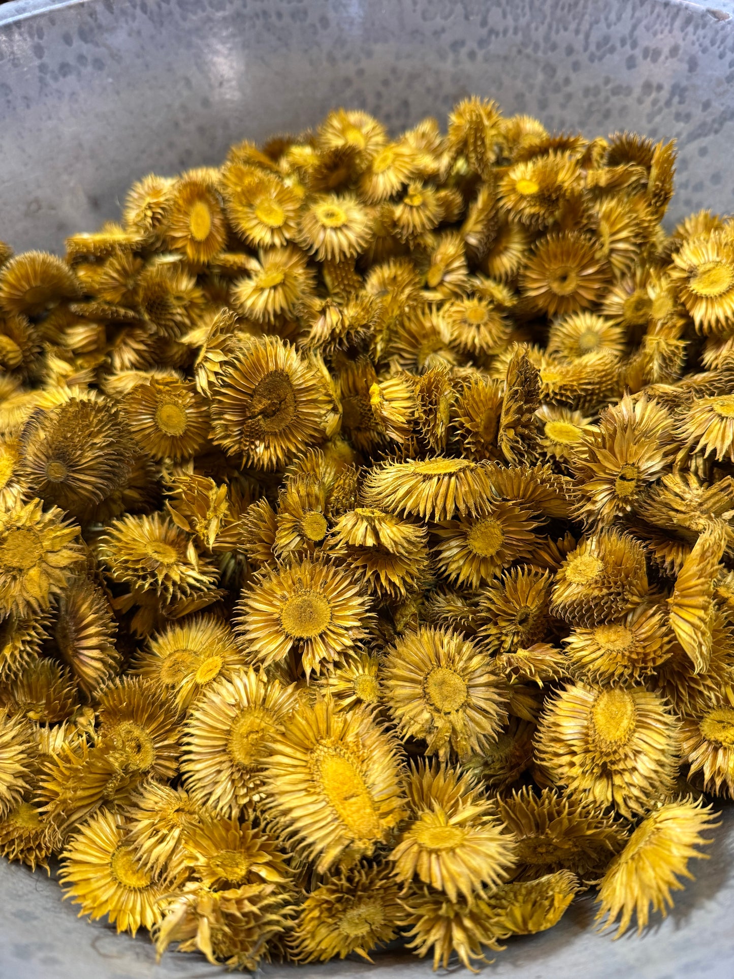 CORN FLOWER, 1 Ounce