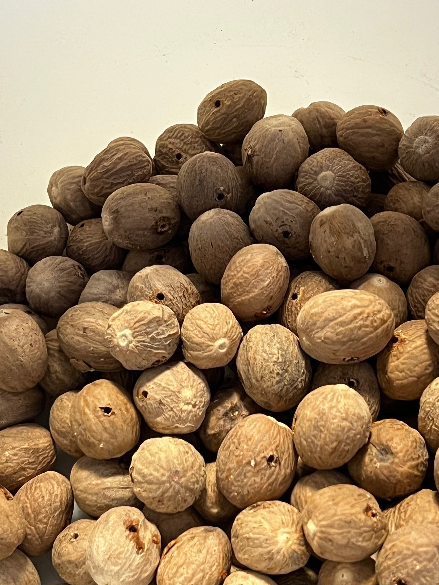 Garland, 24", NUTMEG & SPINNER GOURD