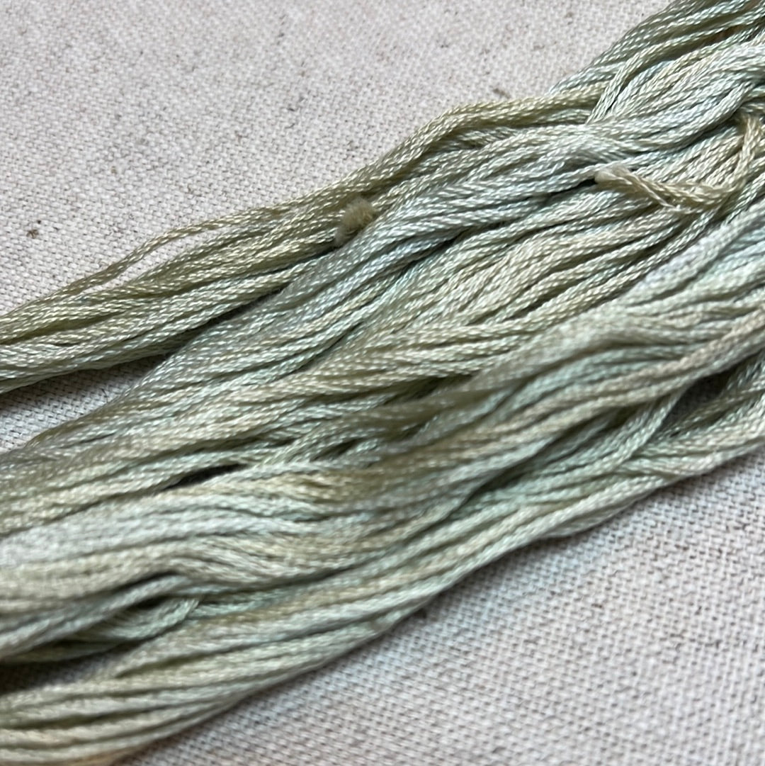 HONEY DEW, 7087, Simply Shaker