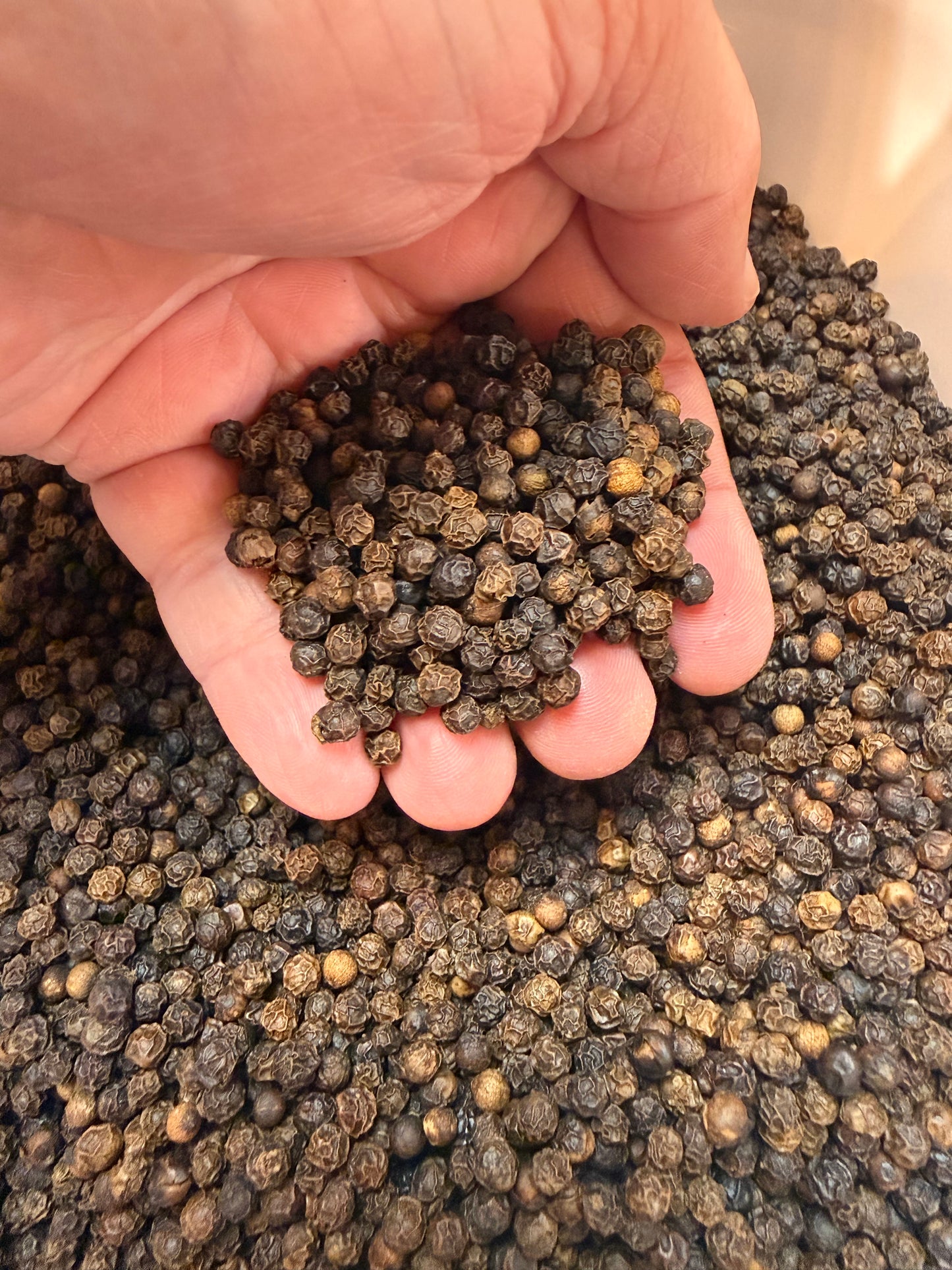 PEPPERCORNS, Whole Dried, 4 ounce