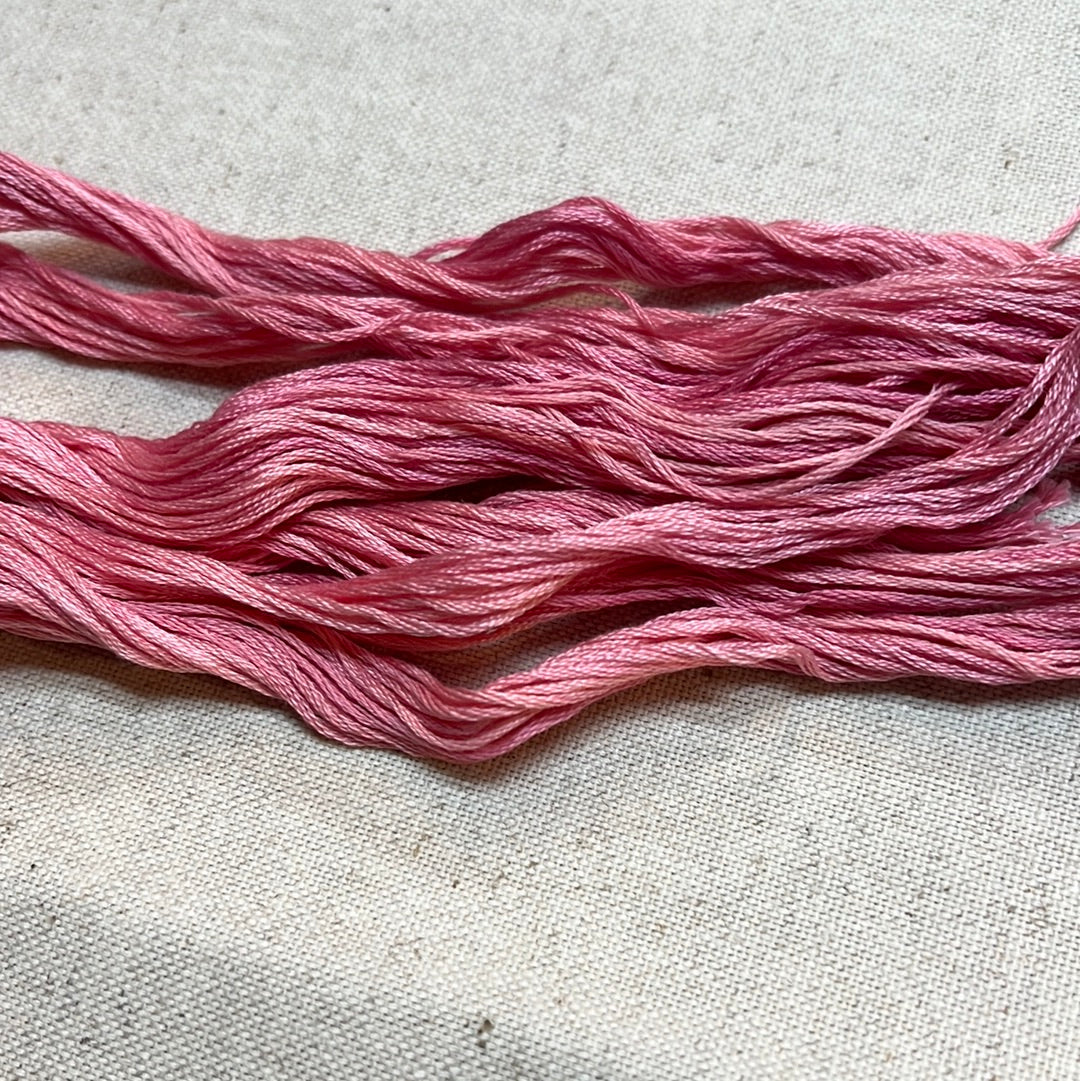 TEA ROSE, 7035, Simply Shaker