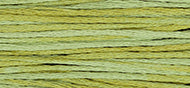 SCUPPERNONG, 2196