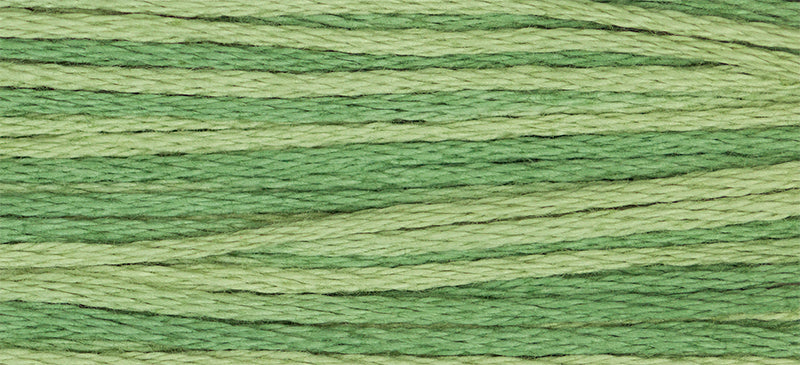 IVY, 2198
