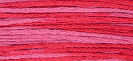 BEGONIA, 2263