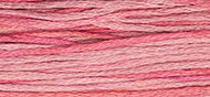 CAMELLIA, 2276