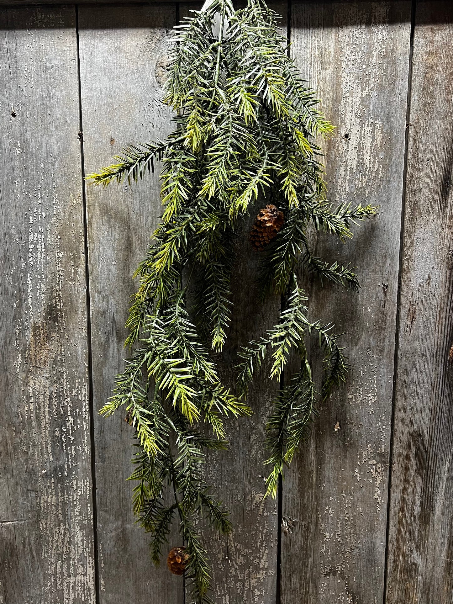Draping Bush, 34”, PINE W/CONES