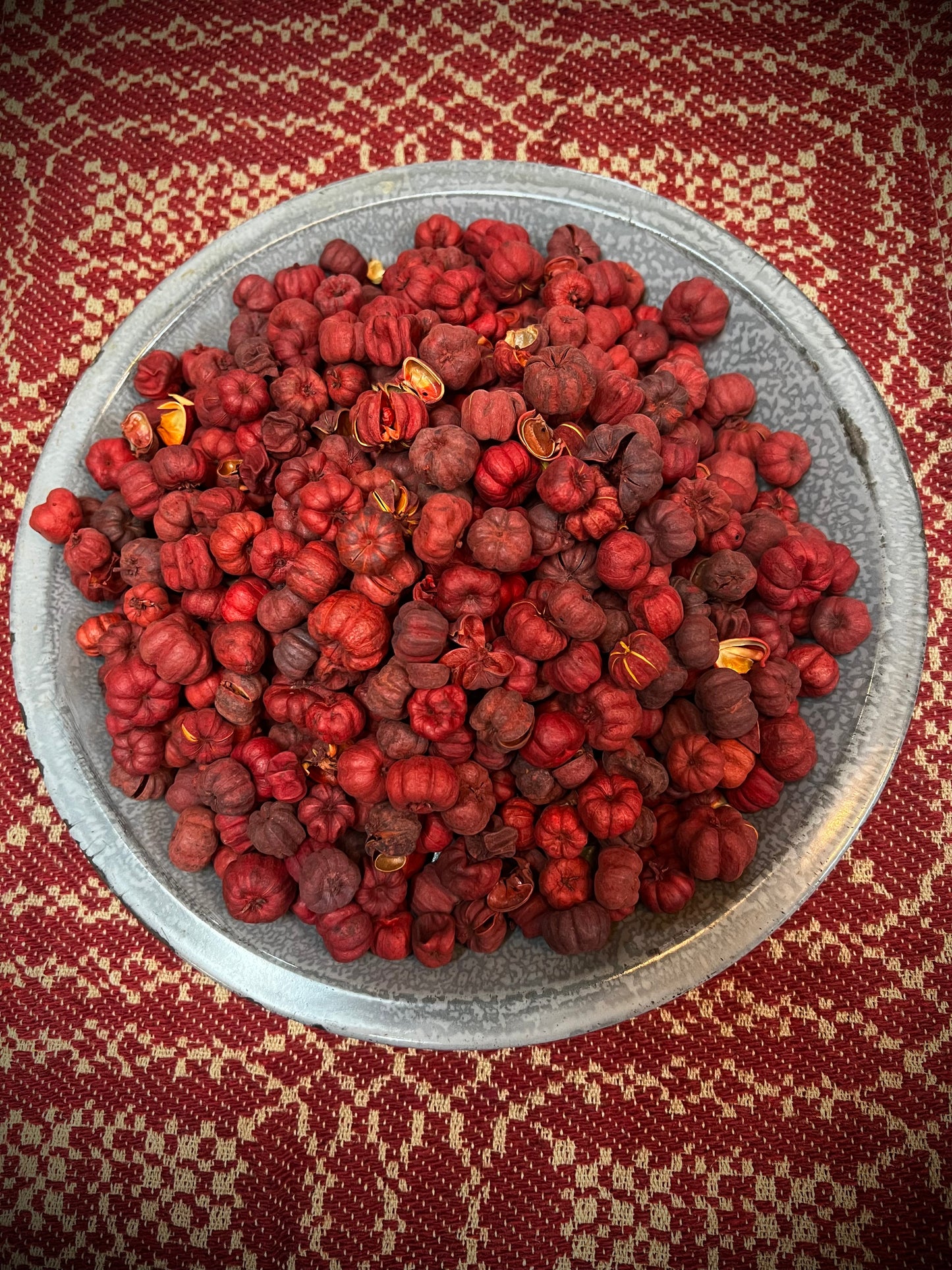 Putka Pods, CRANBERRY, 4.5 ounce