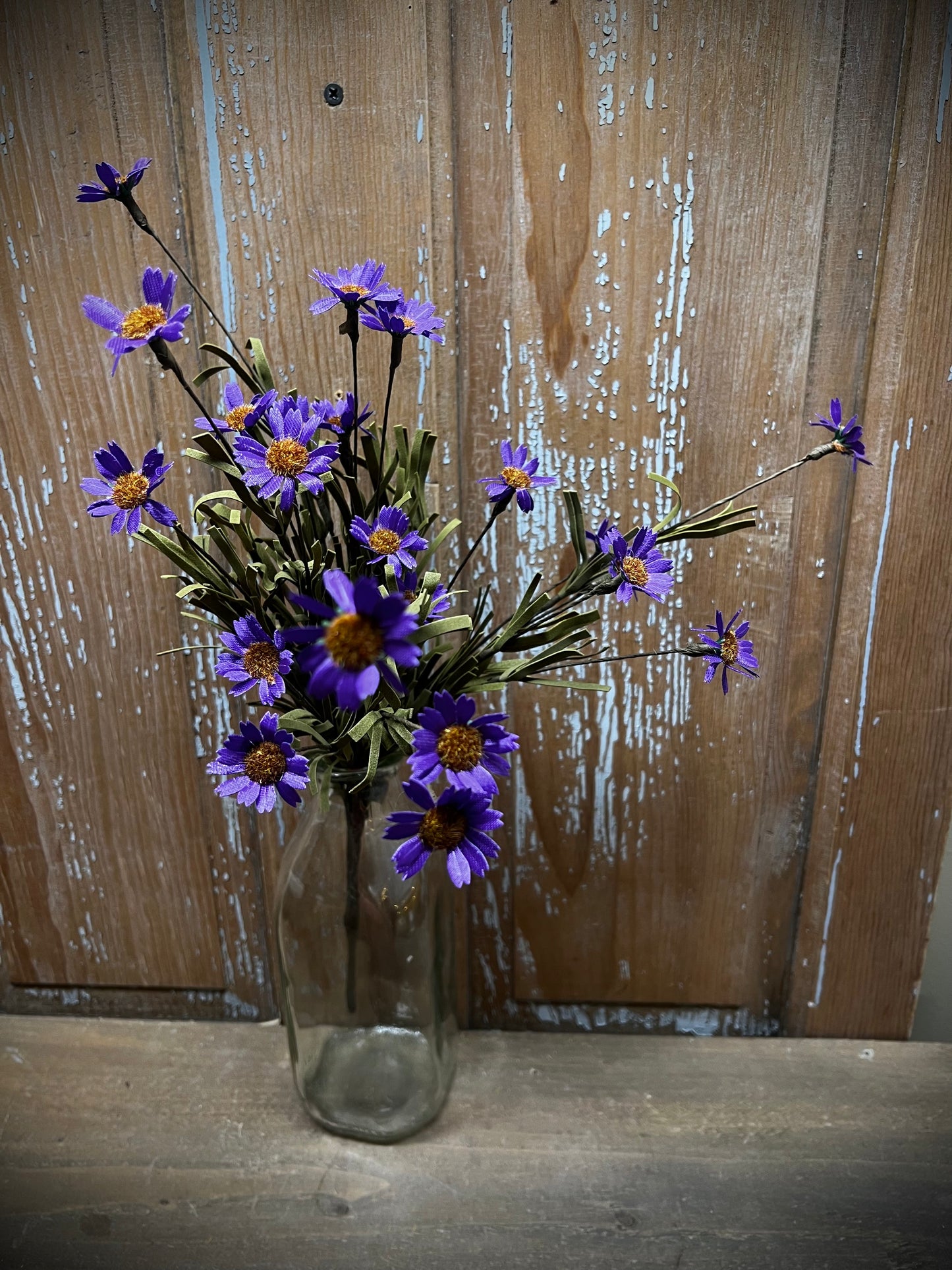 Bunch, Mountain Daisy, PURPLE