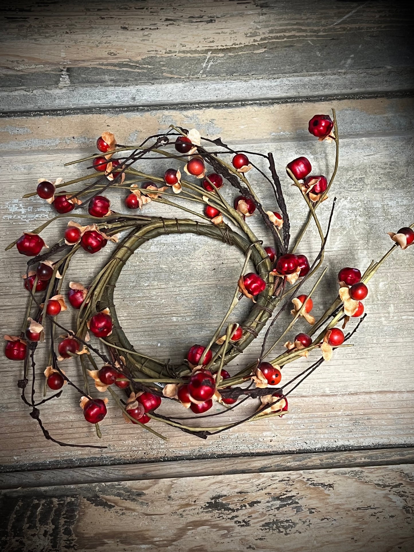 Candle Ring, 3.5", BITTERSWEET & PUTKA POD