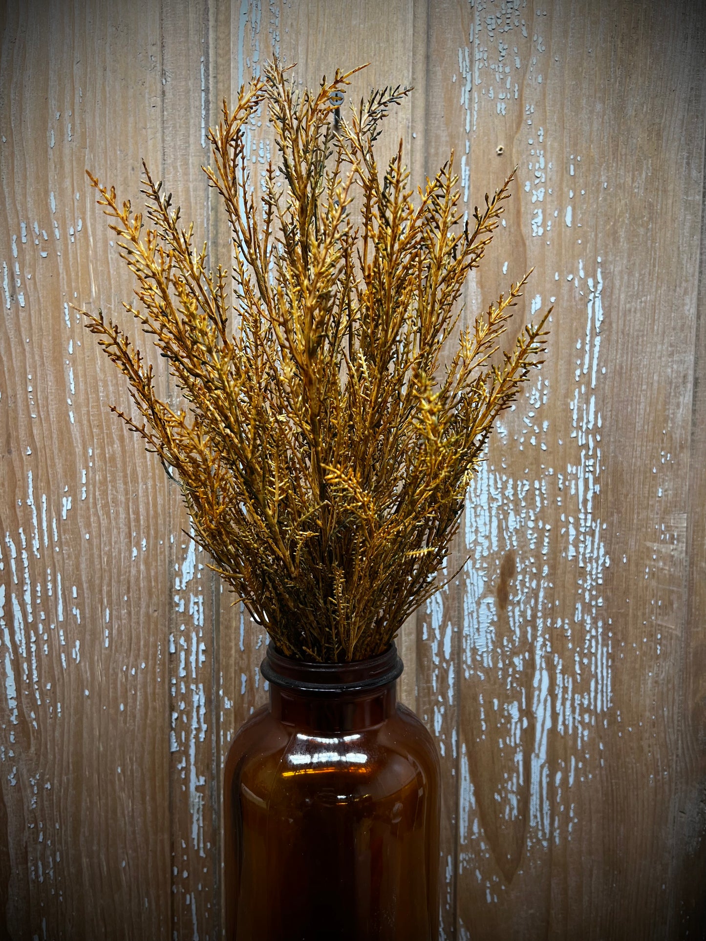 Bush, 19", Wildthorn, MOSS