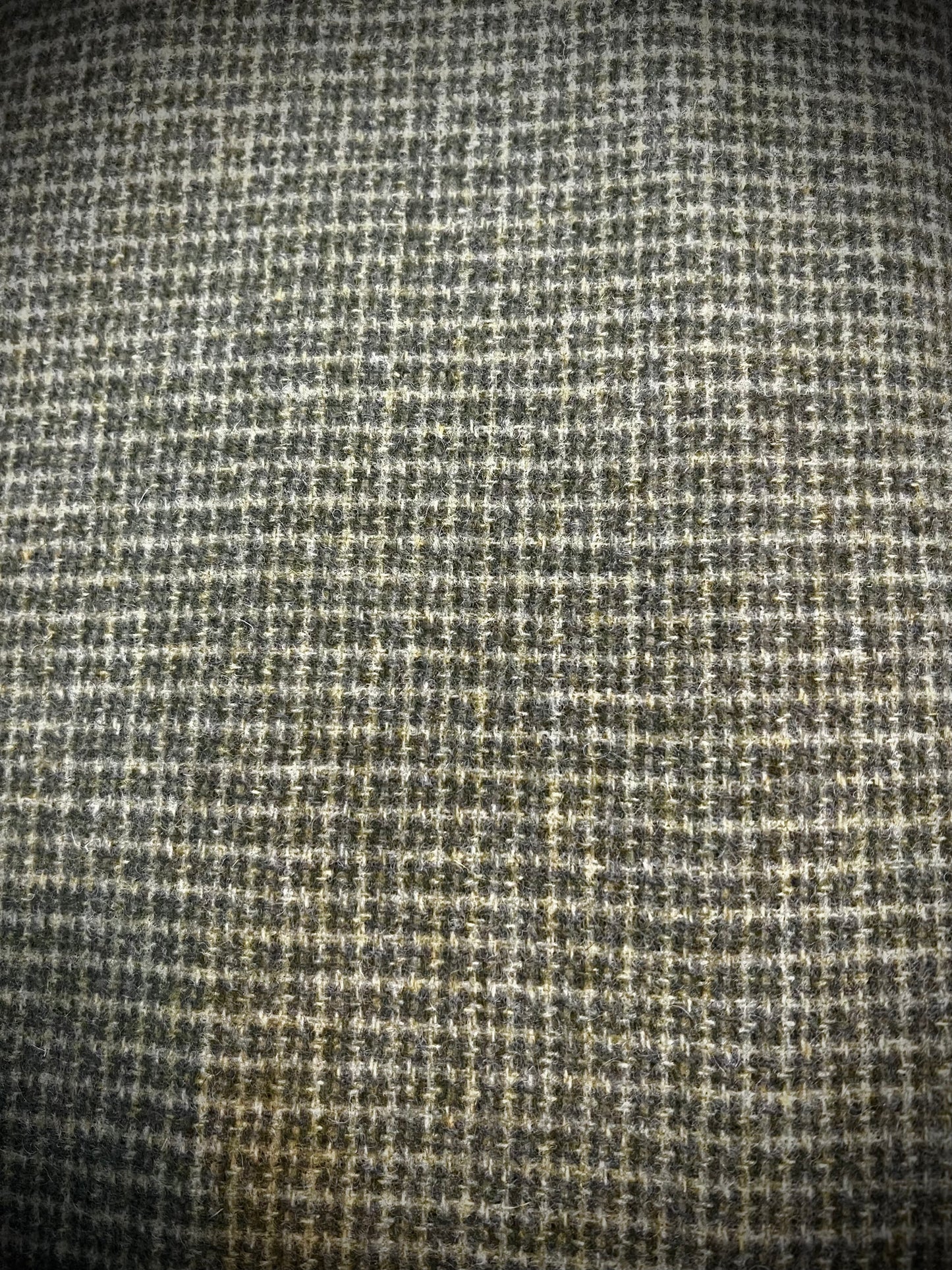 TEACHER'S PET, Wool