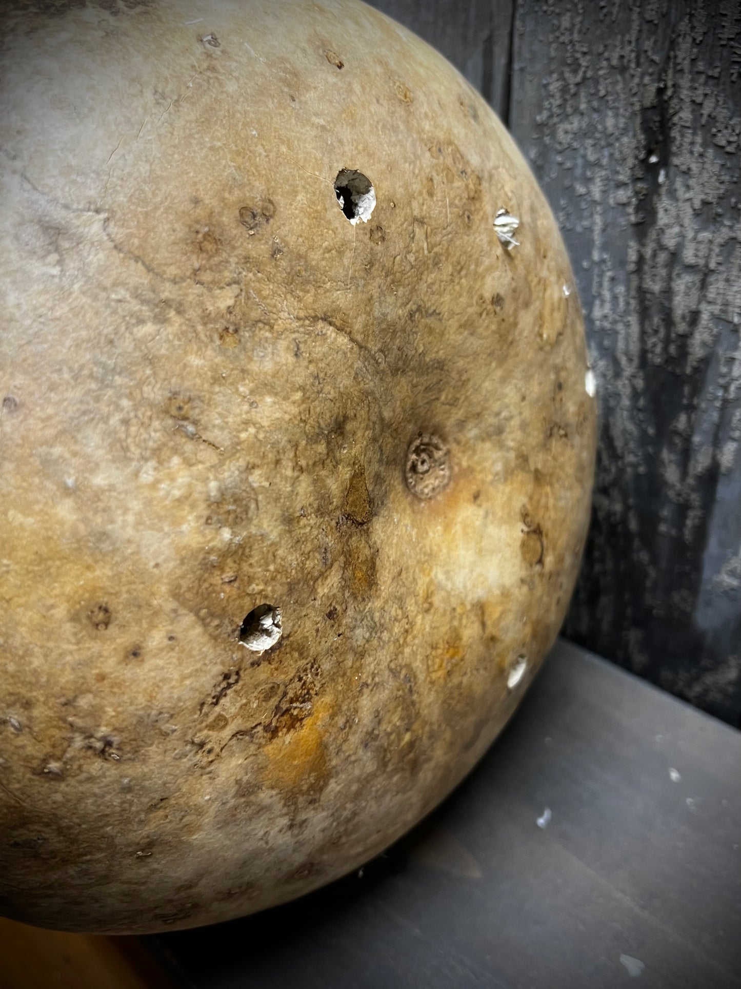 Gourd, Assorted, BIRDHOUSE