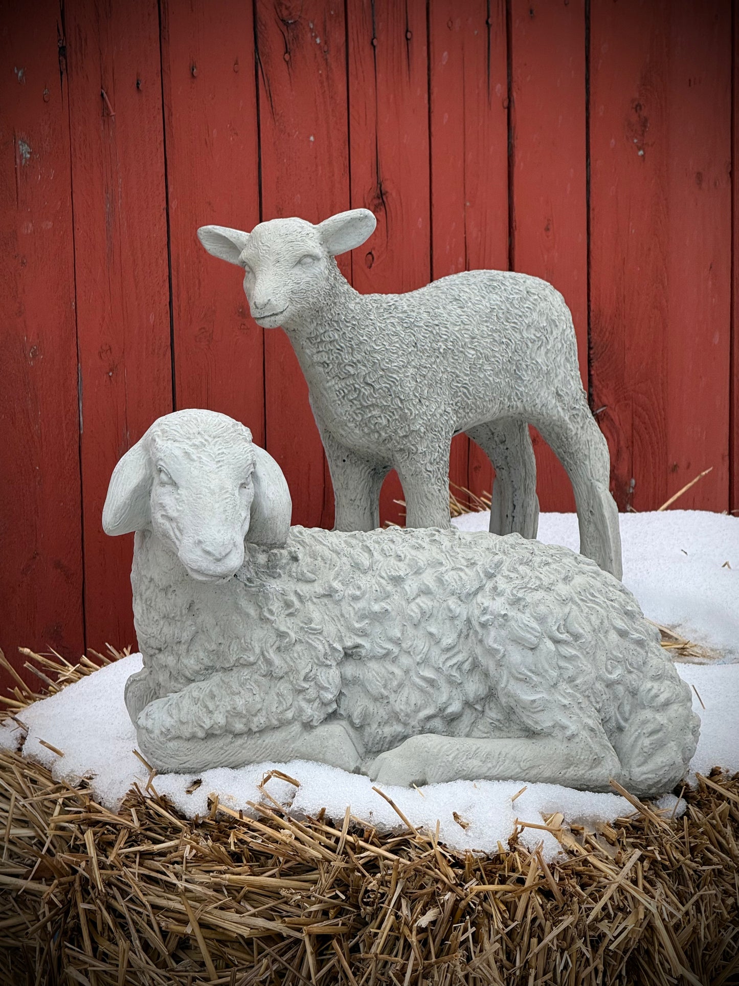LAMB, Concrete….NO SHIPPING