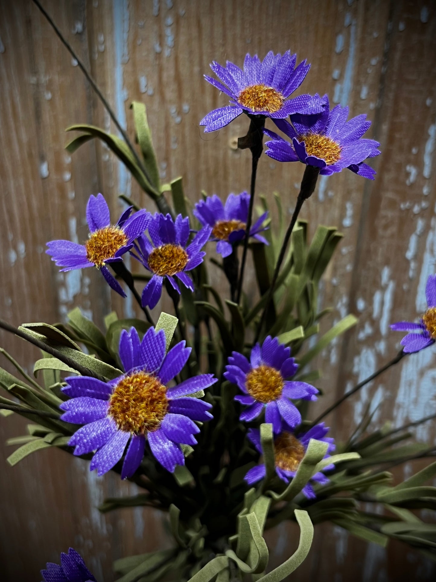 Bunch, Mountain Daisy, PURPLE
