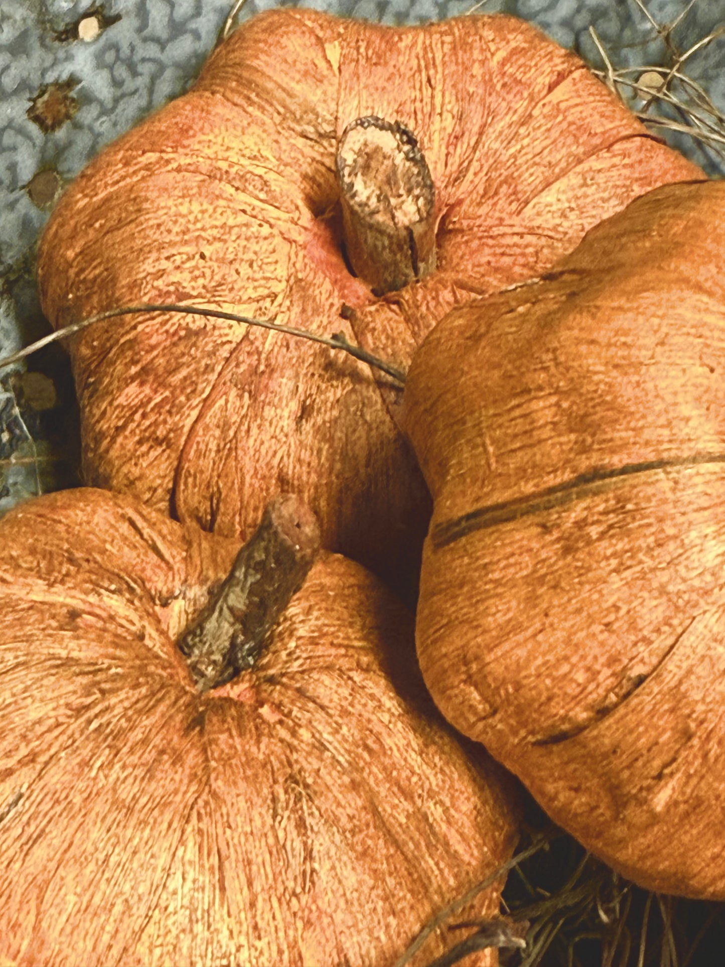 Bowl Filler, 5 Piece, HUSKY PUMPKINS