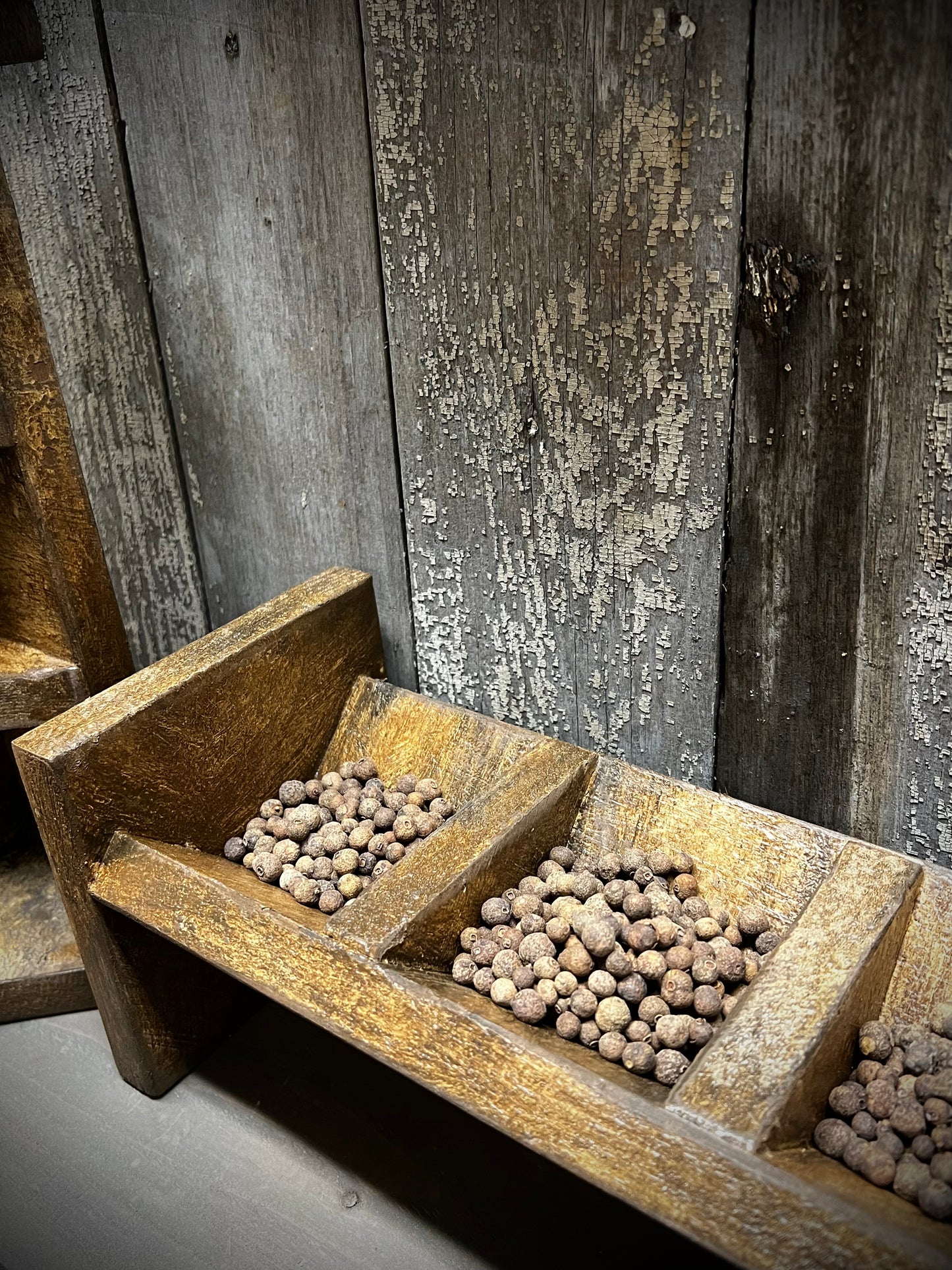 SPICE KEEP, Assorted Colors