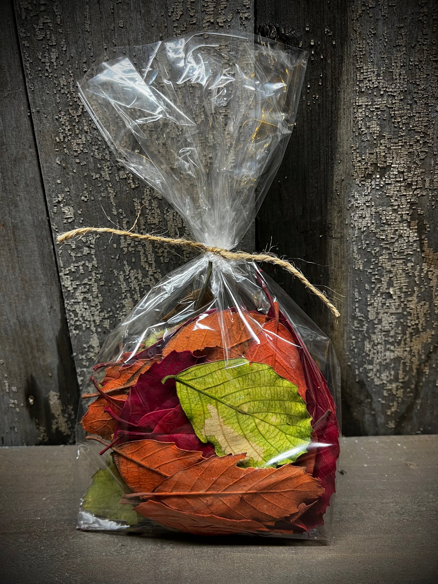Fall Leaves, Preserved, 1 ounce