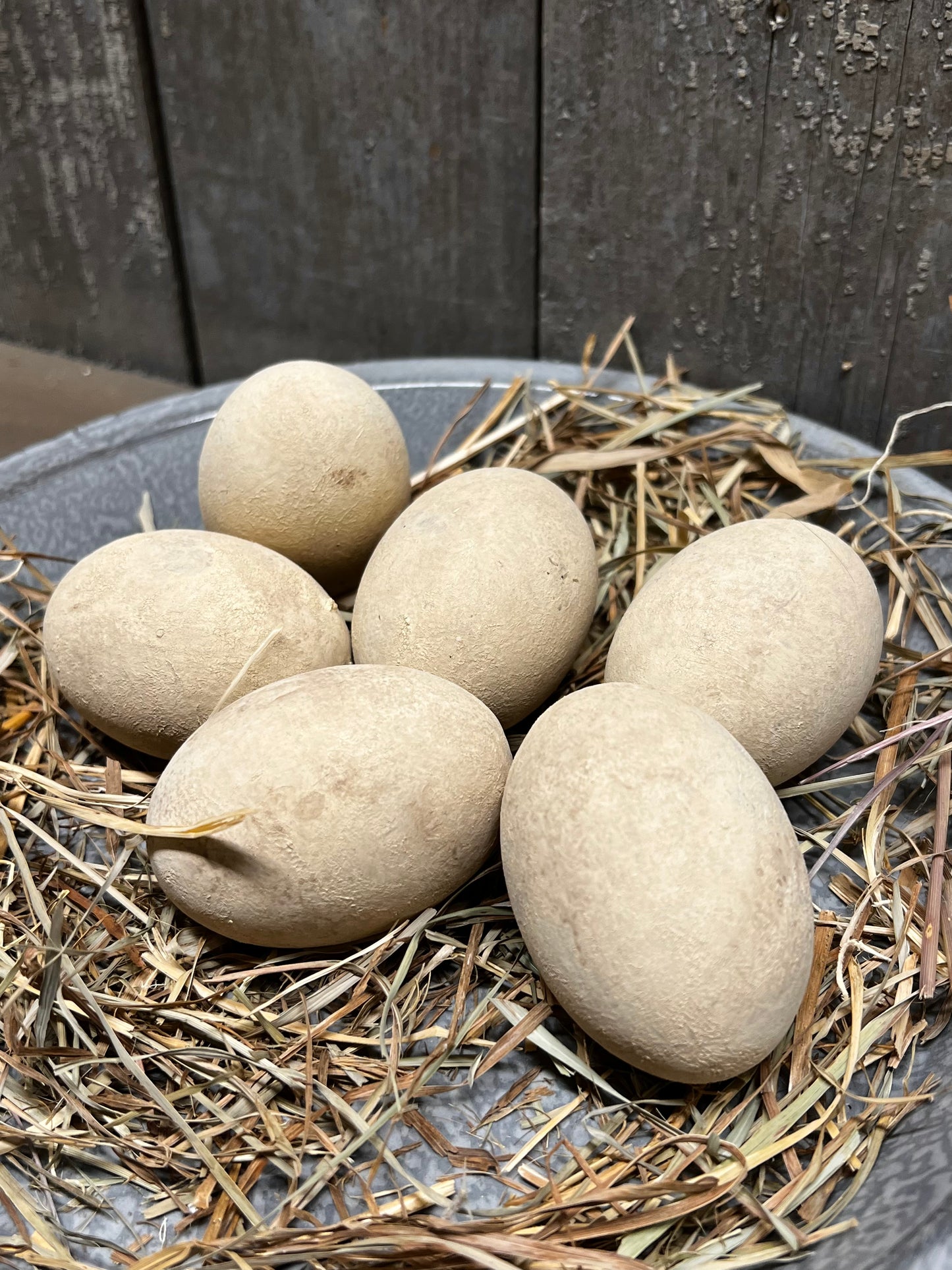 Eggs & Grass, Set/6, CREAM or CREAM/BROWN/BLUE