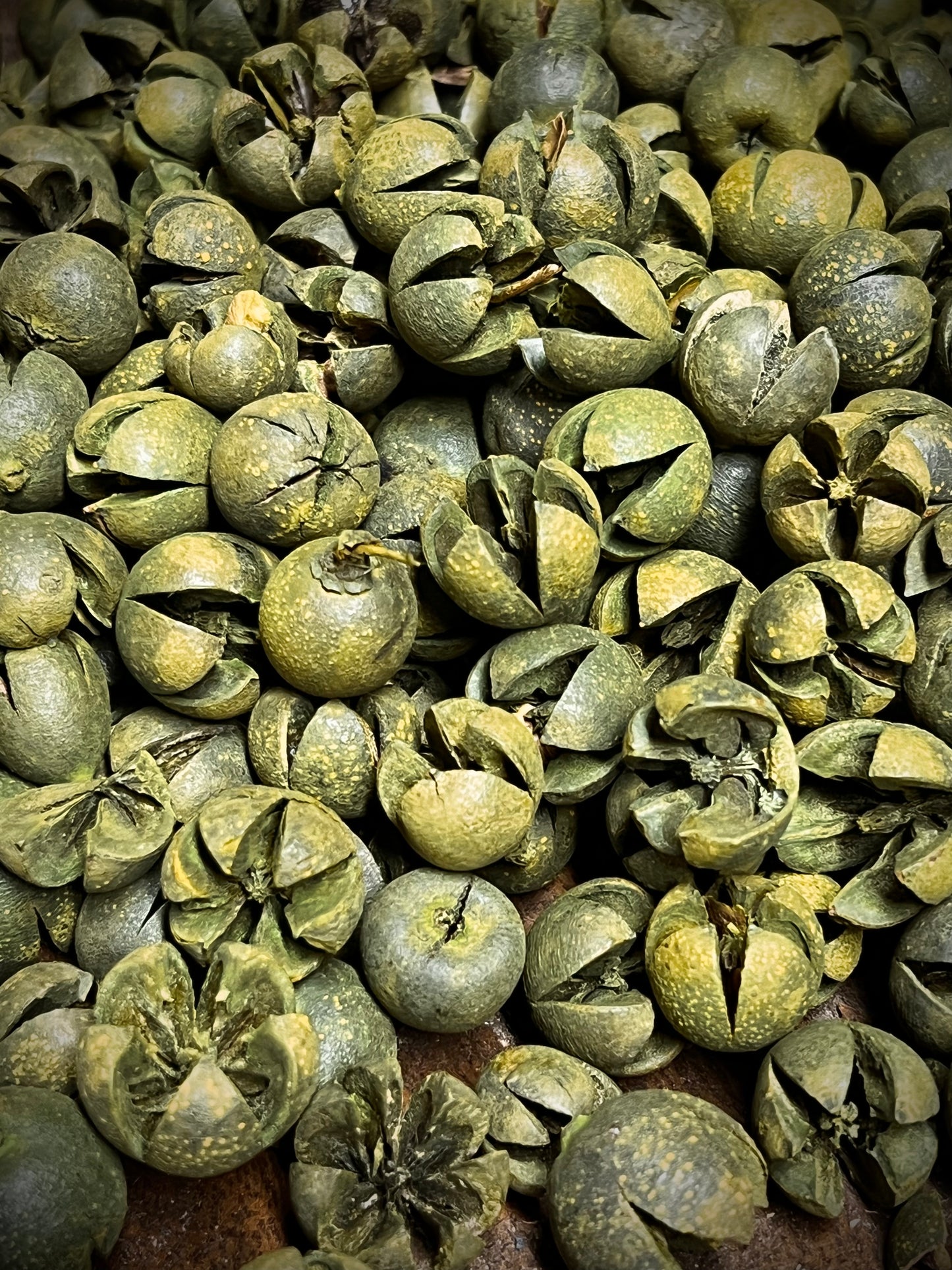 Chiloni Pods, GREEN, 8 ounce