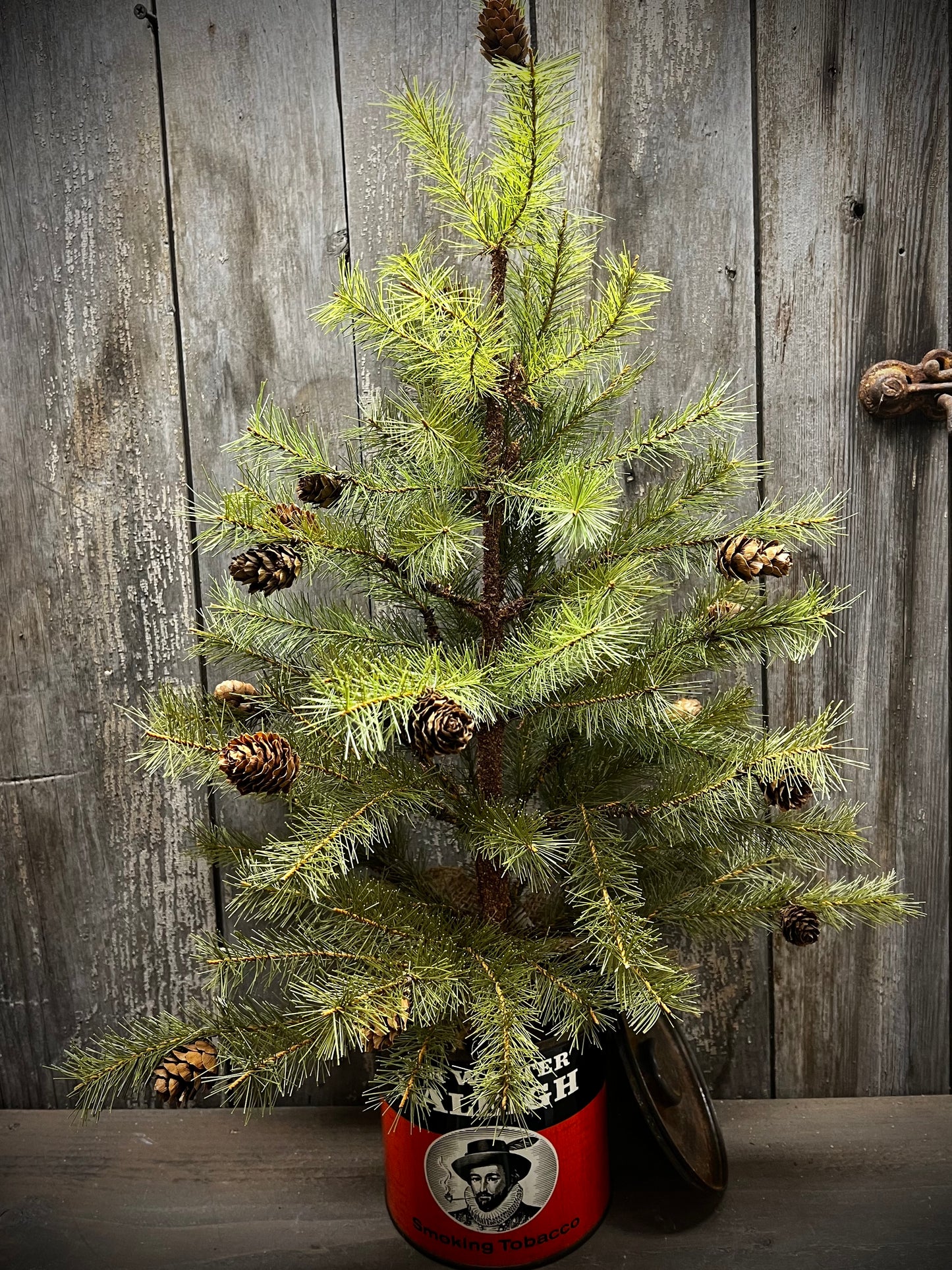 Tree, 24", GREENUP PINE W/ CONES