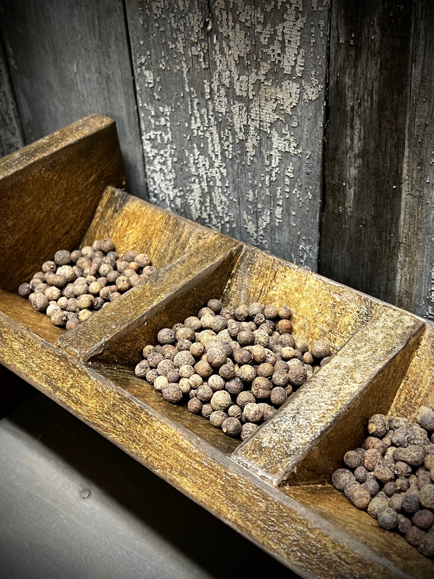 SPICE KEEP, Assorted Colors