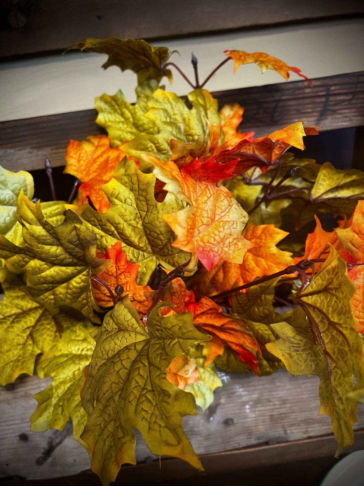 Bush, 17”, MAPLE LEAF