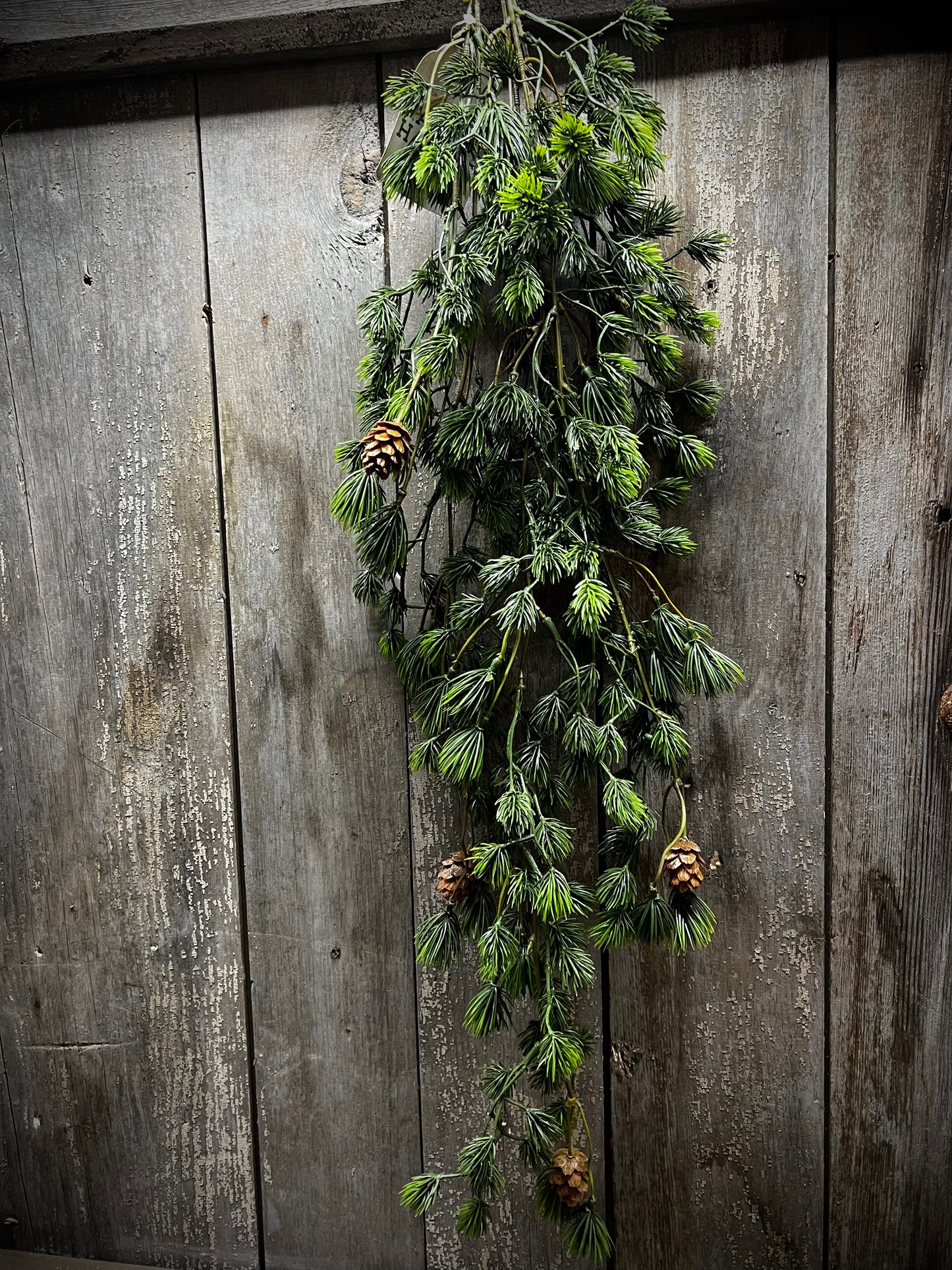 Hanging Bush, 32”, CLUSTER PINE