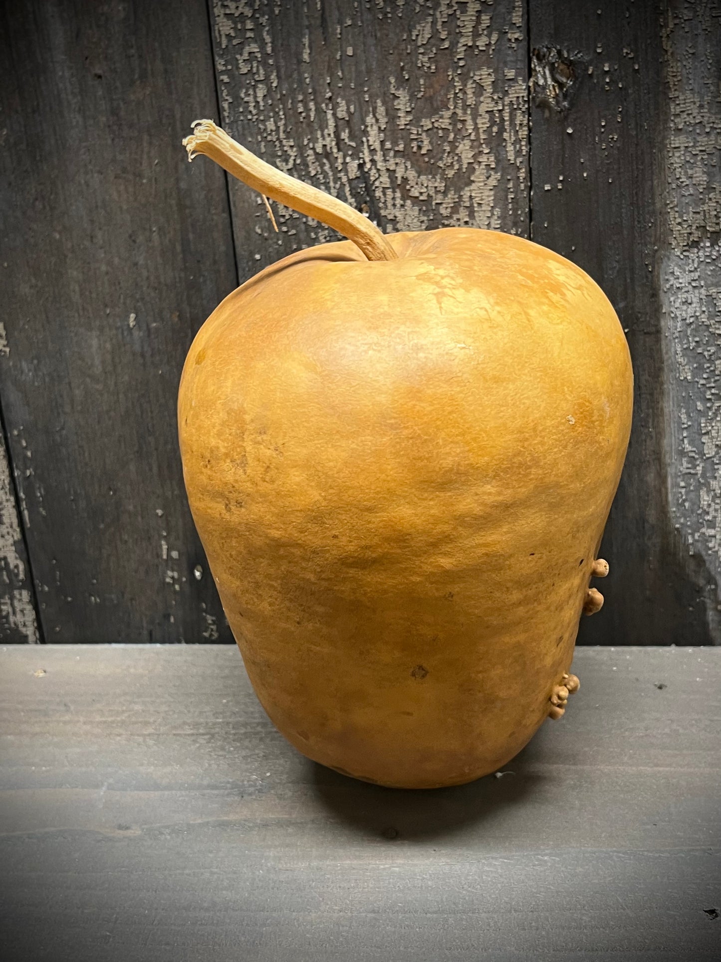 Gourd, Assorted, APPLE