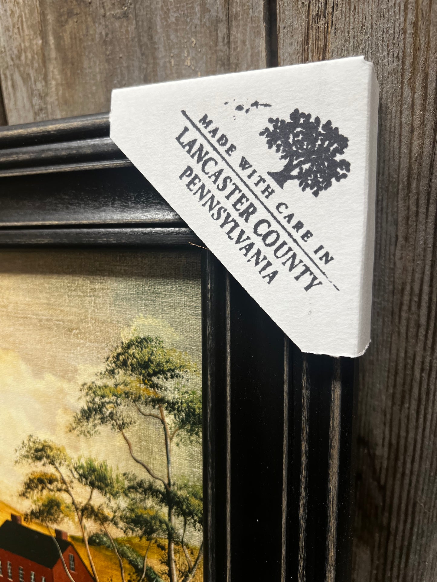 Framed Art, 12x16, GRAZING