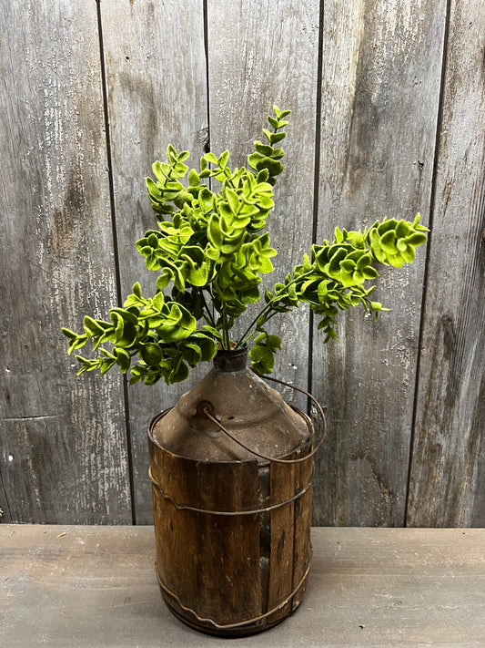 Bush, 14", MOSS COATED BABY EUCALYPTUS