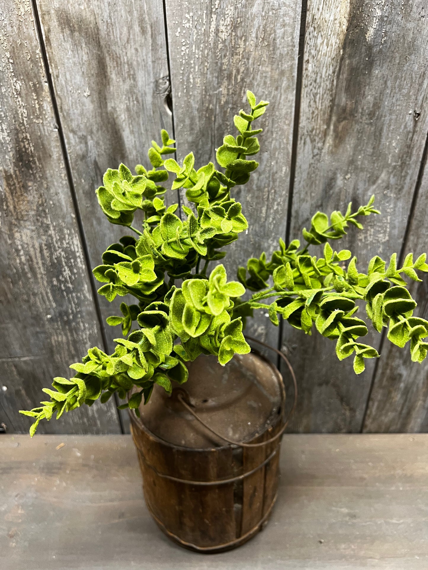 Bush, 14", MOSS COATED BABY EUCALYPTUS