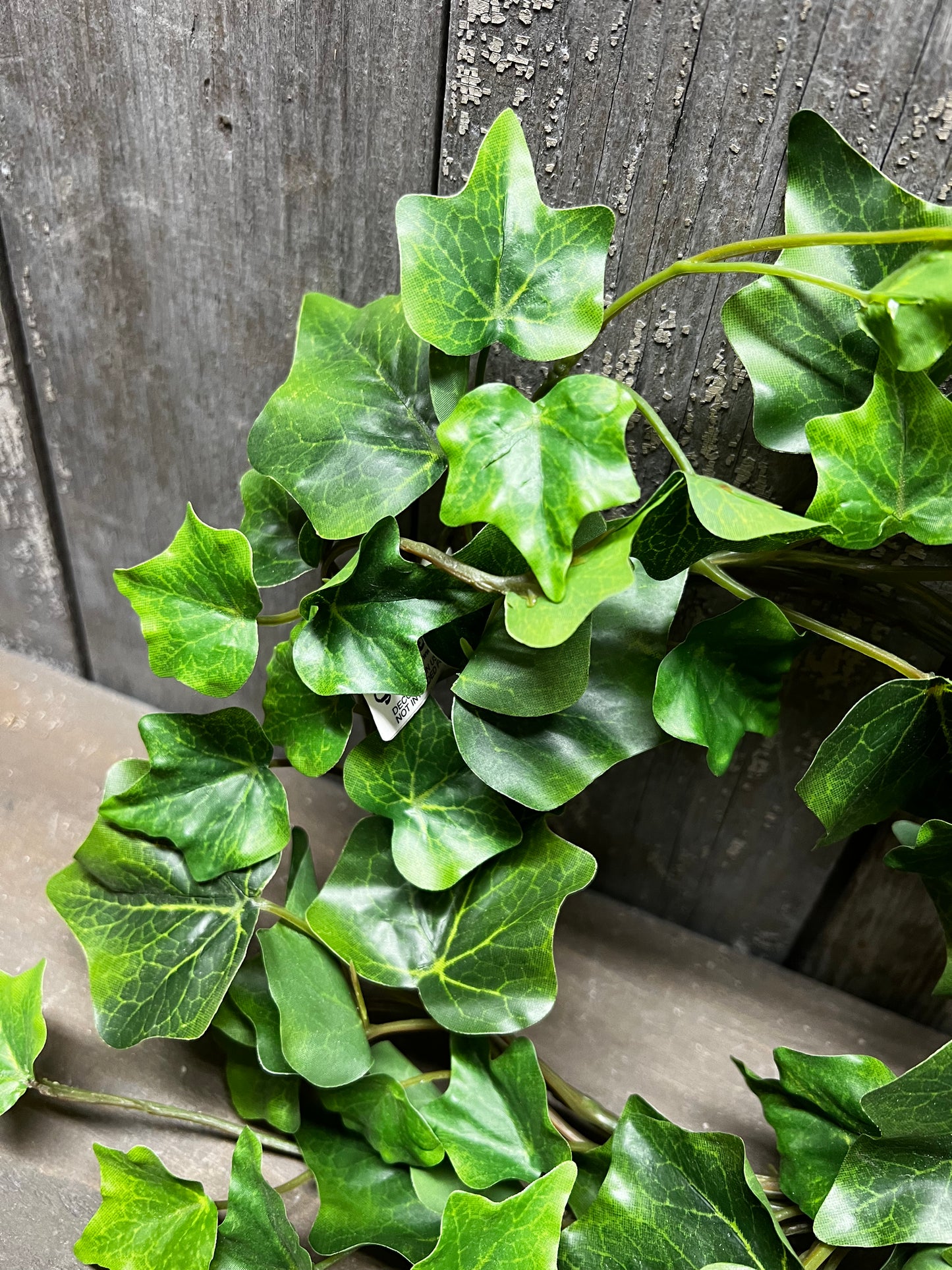 Candle Ring, 4.5", IVY