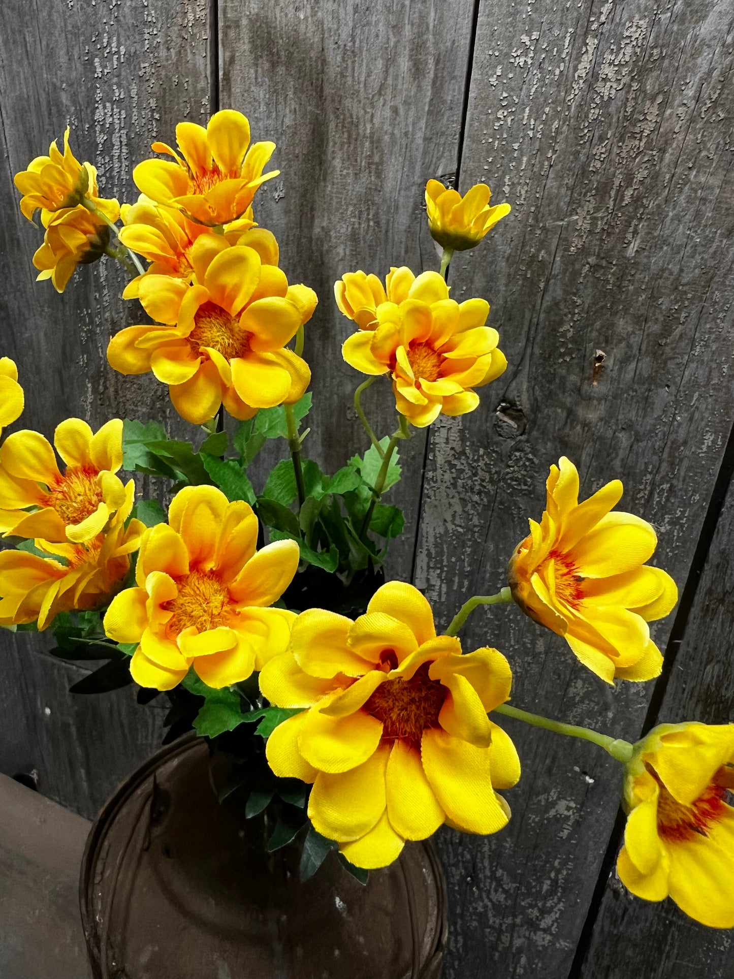 Bush, 14.5", WILD DAISY